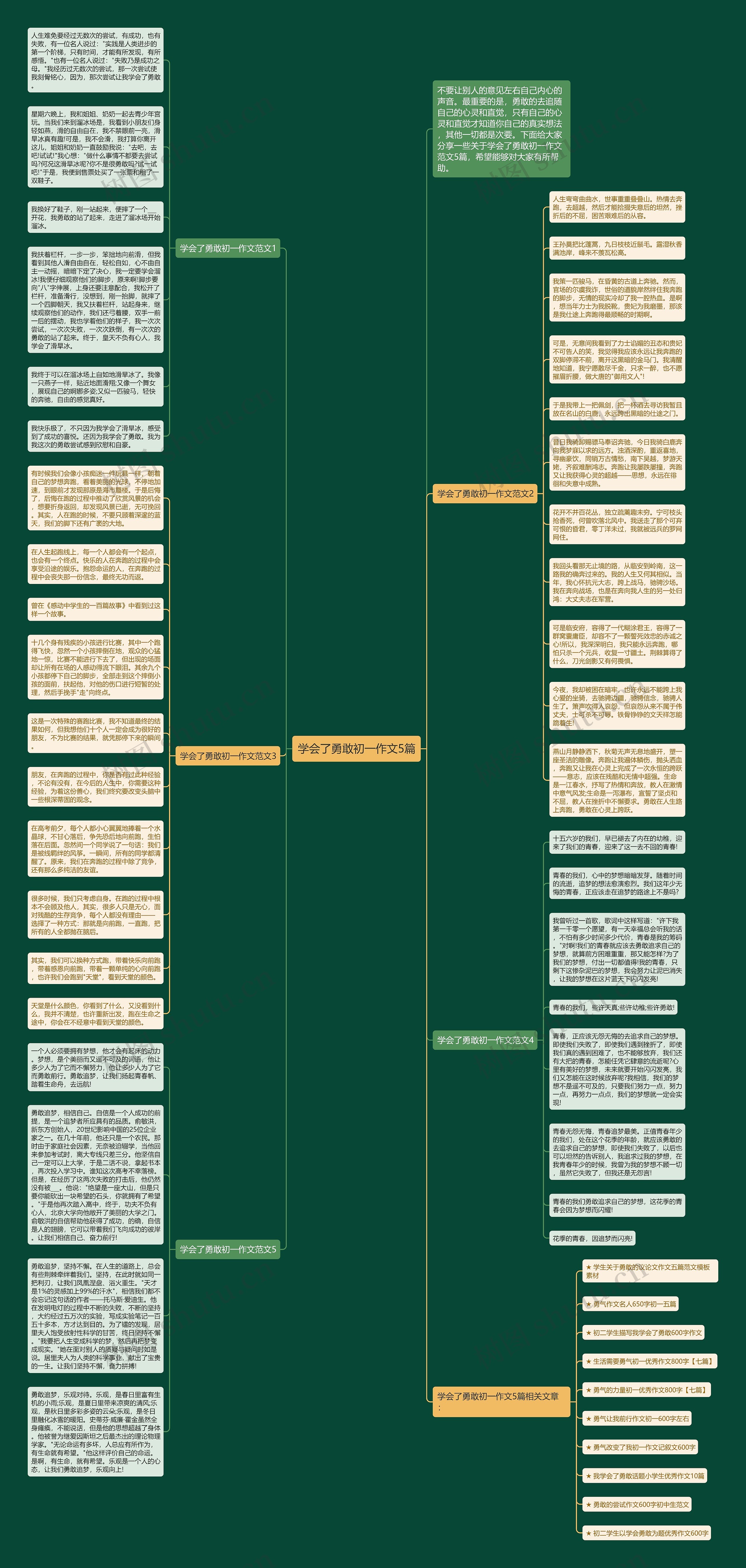 学会了勇敢初一作文5篇思维导图