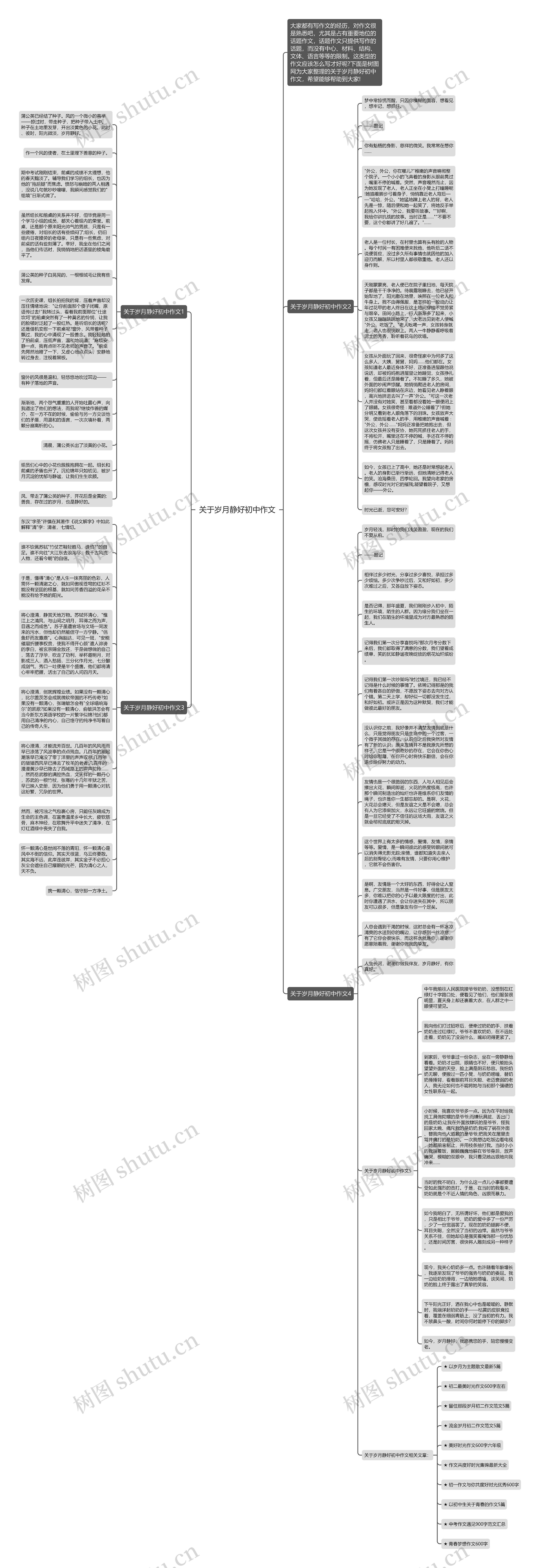 关于岁月静好初中作文思维导图