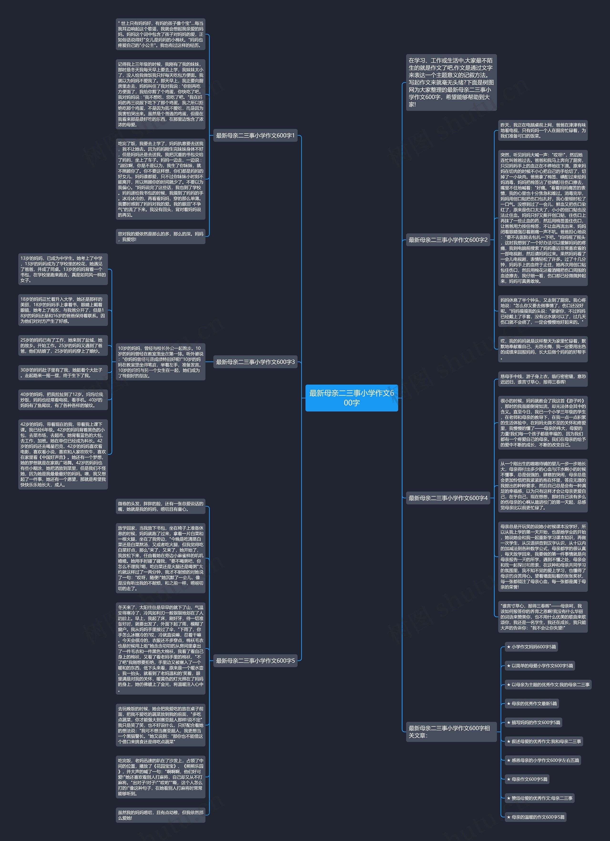 最新母亲二三事小学作文600字思维导图