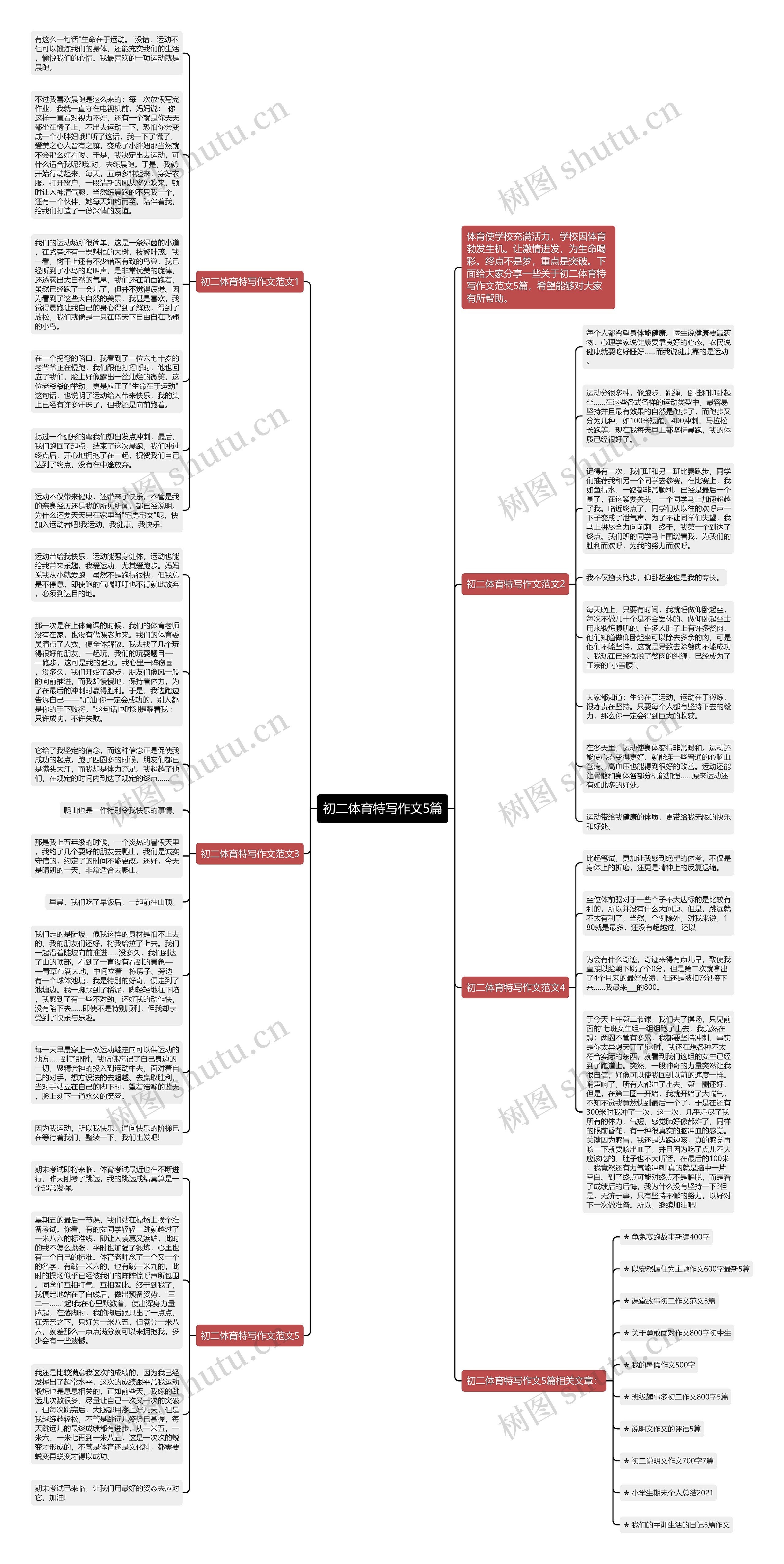 初二体育特写作文5篇思维导图