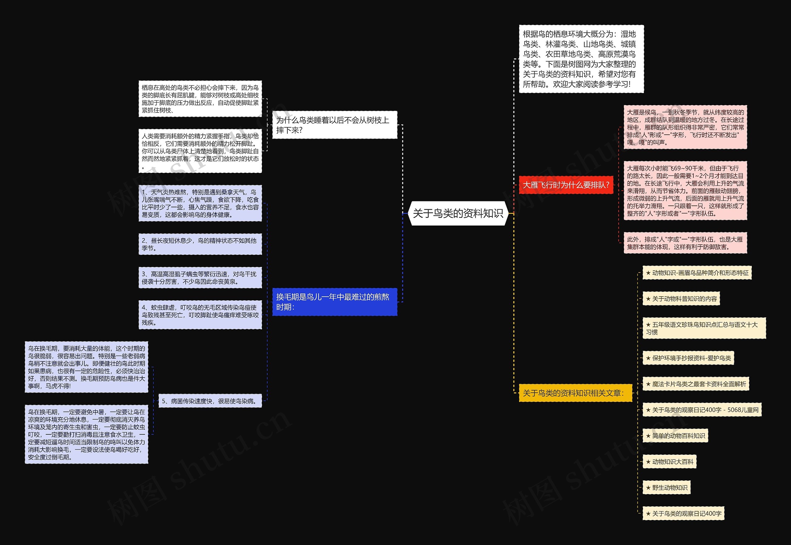 关于鸟类的资料知识思维导图