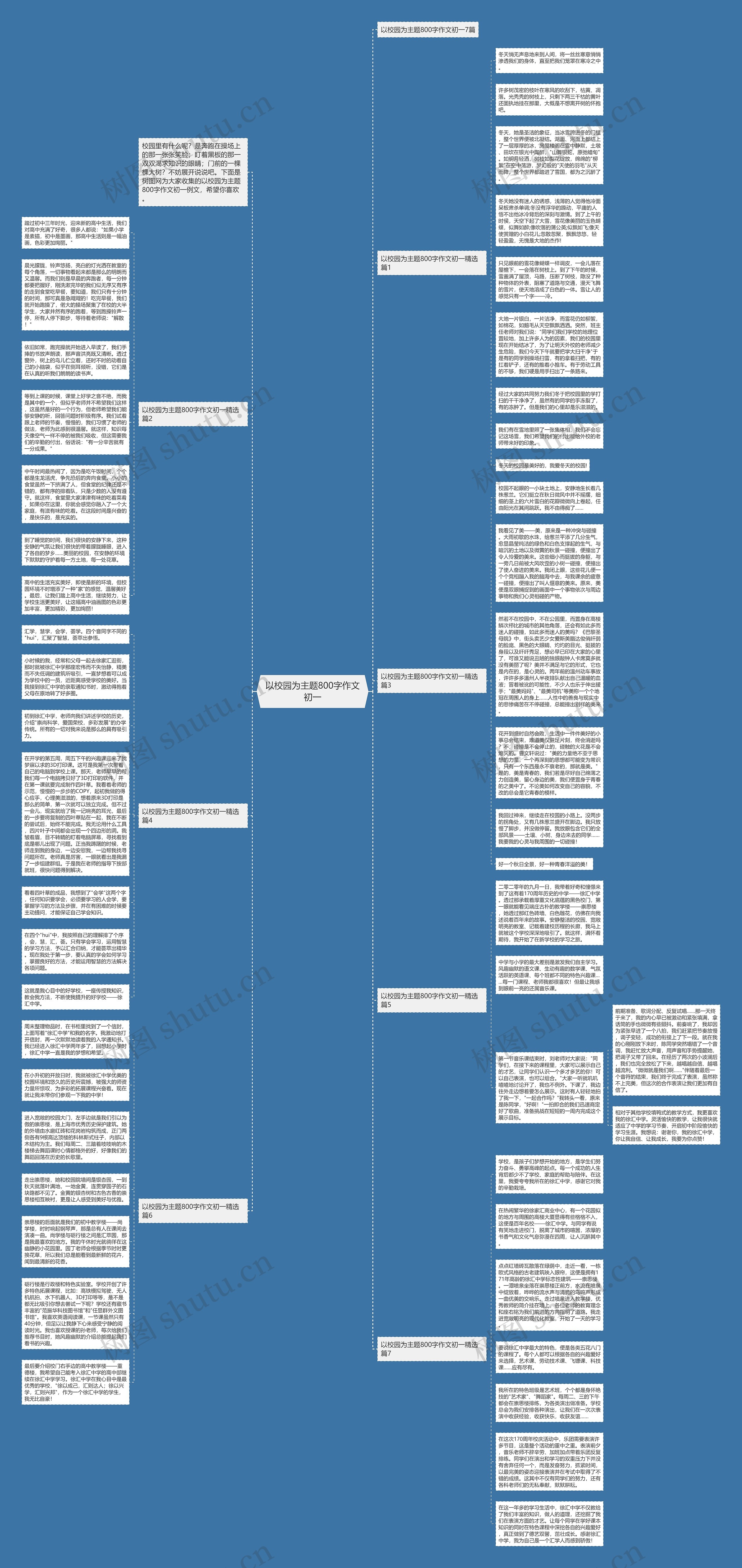 以校园为主题800字作文初一思维导图