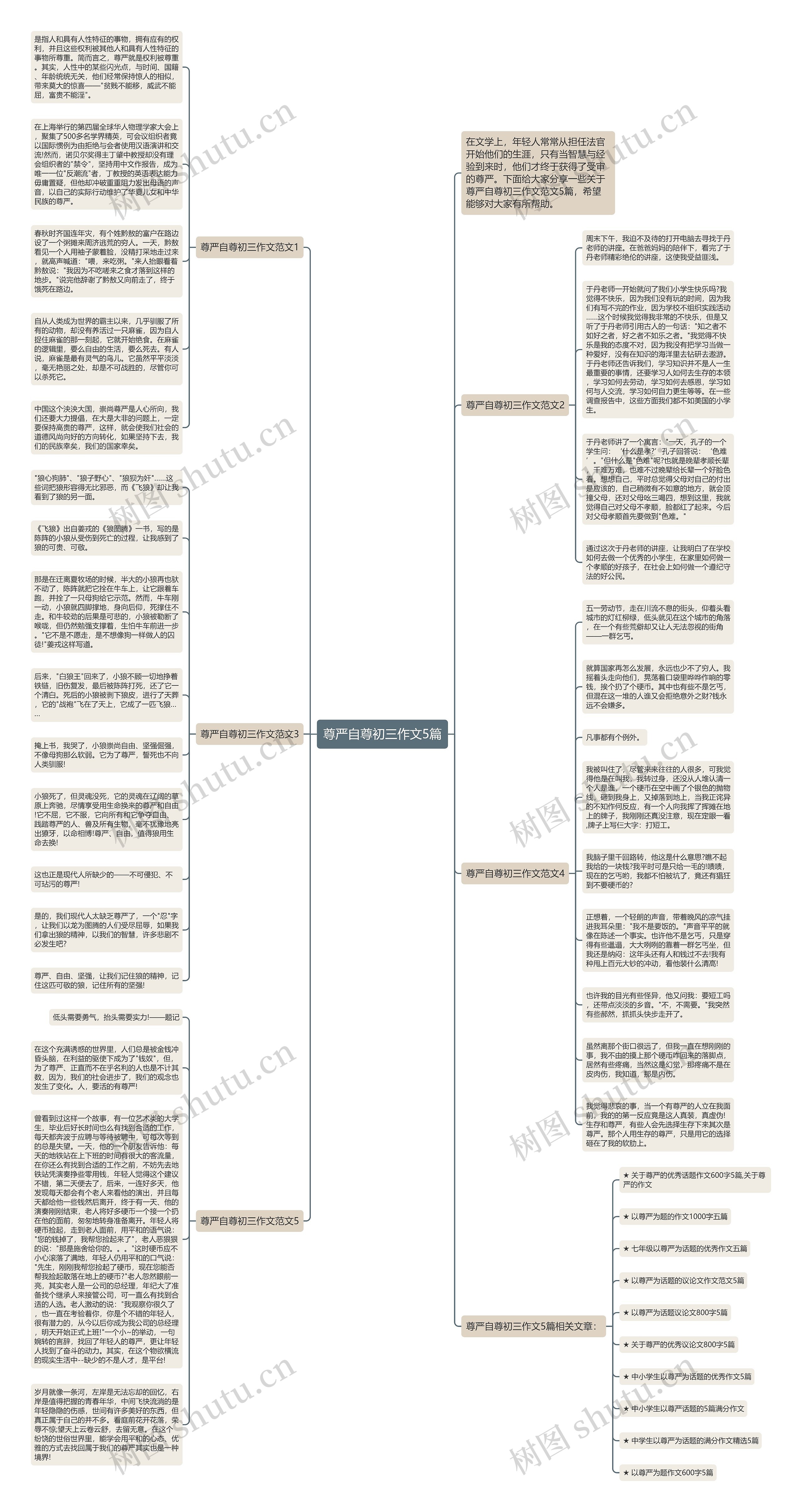 尊严自尊初三作文5篇思维导图