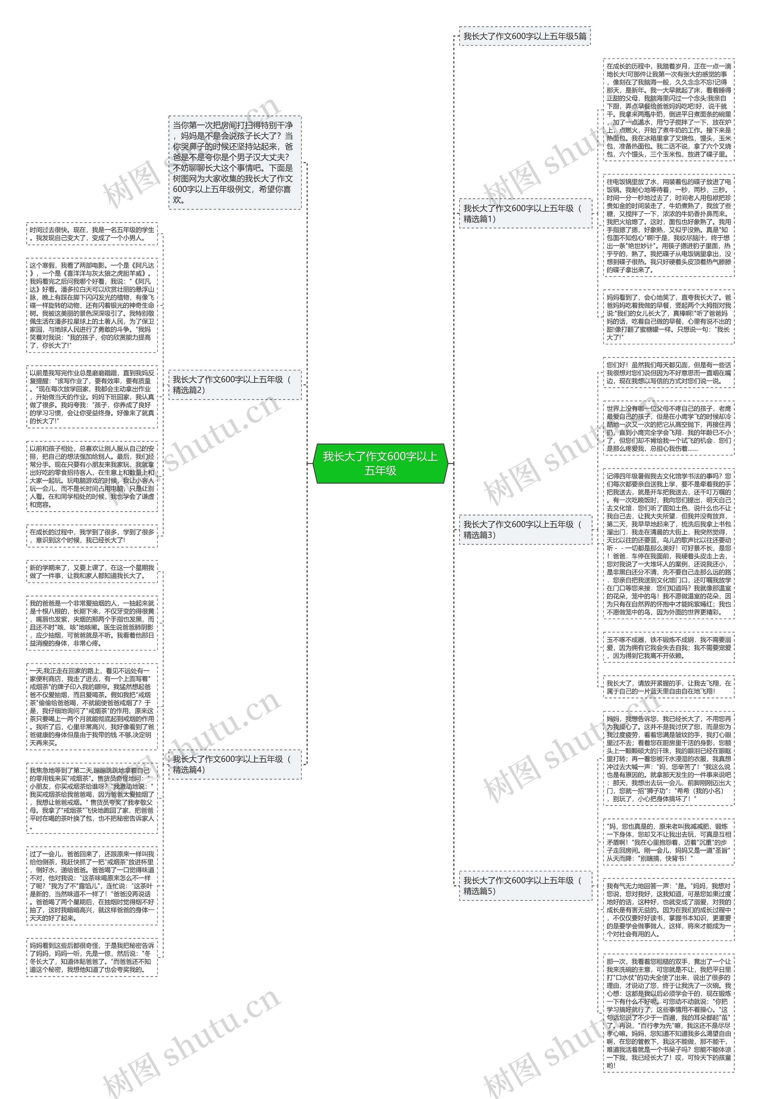 我长大了作文600字以上五年级思维导图