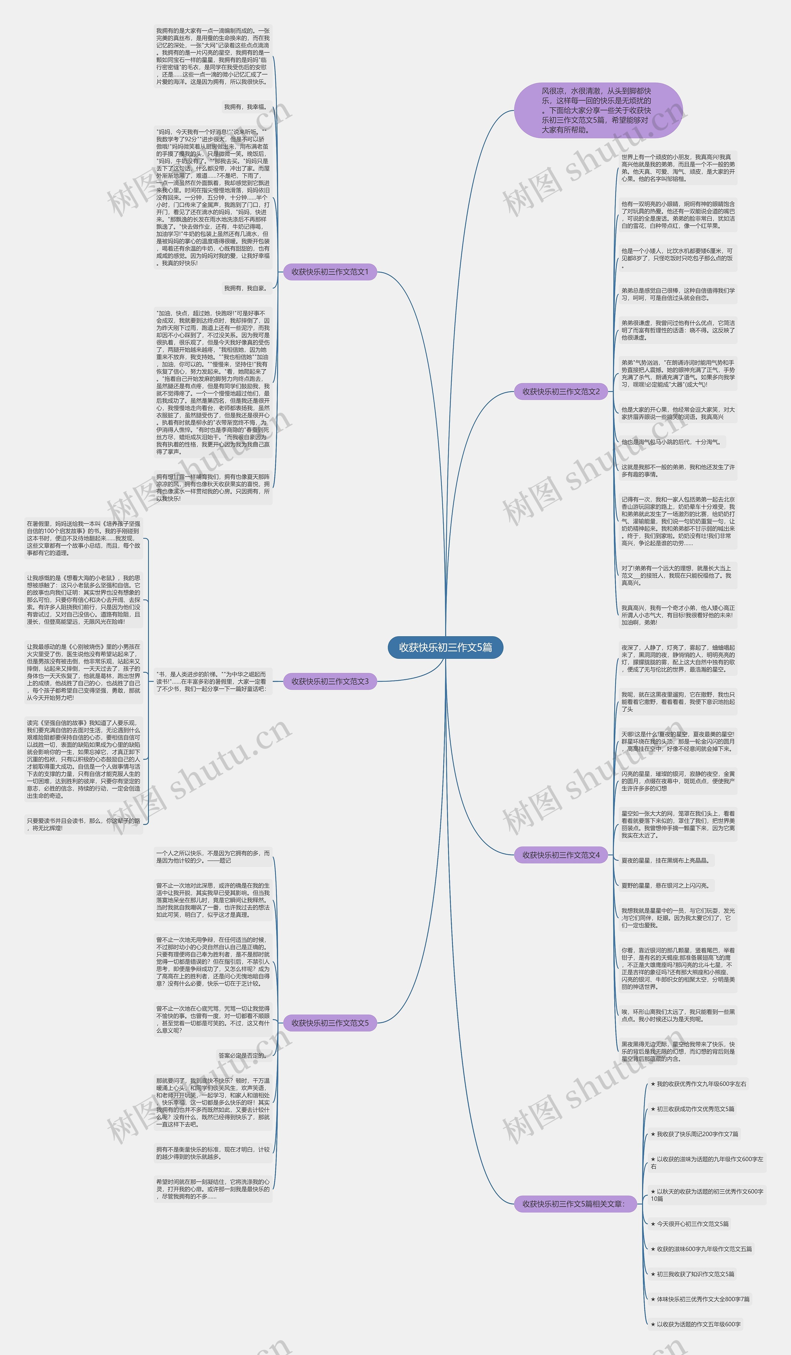 收获快乐初三作文5篇思维导图