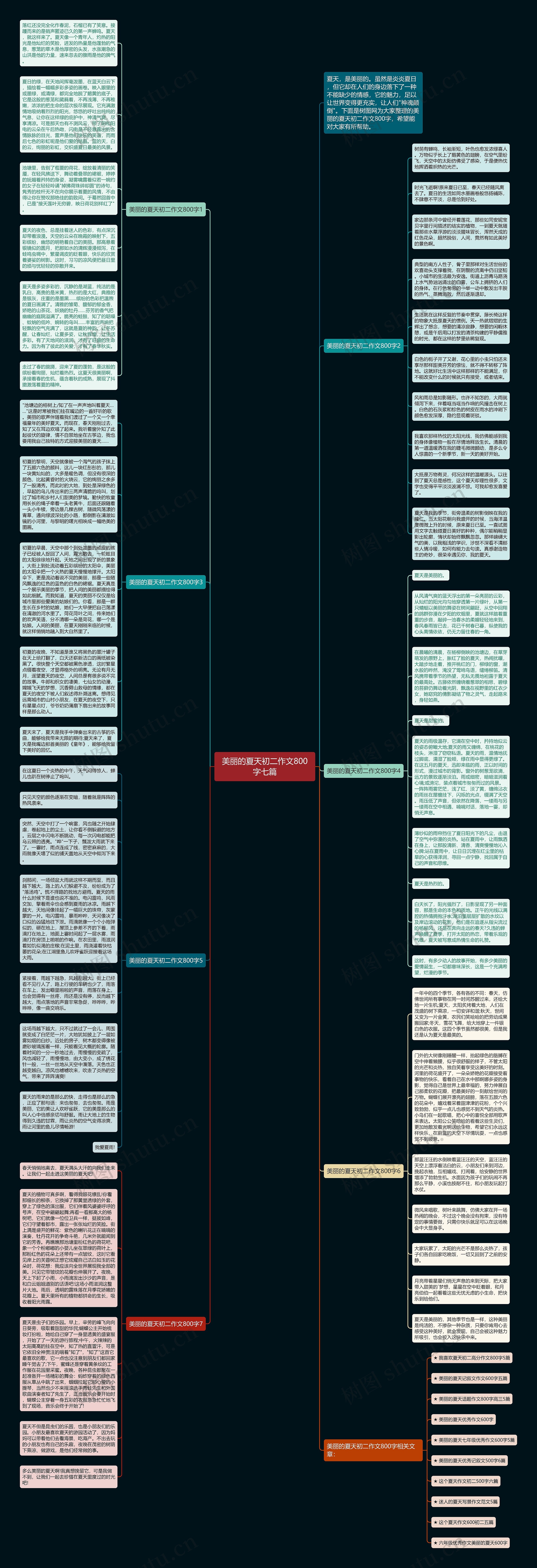 美丽的夏天初二作文800字七篇思维导图