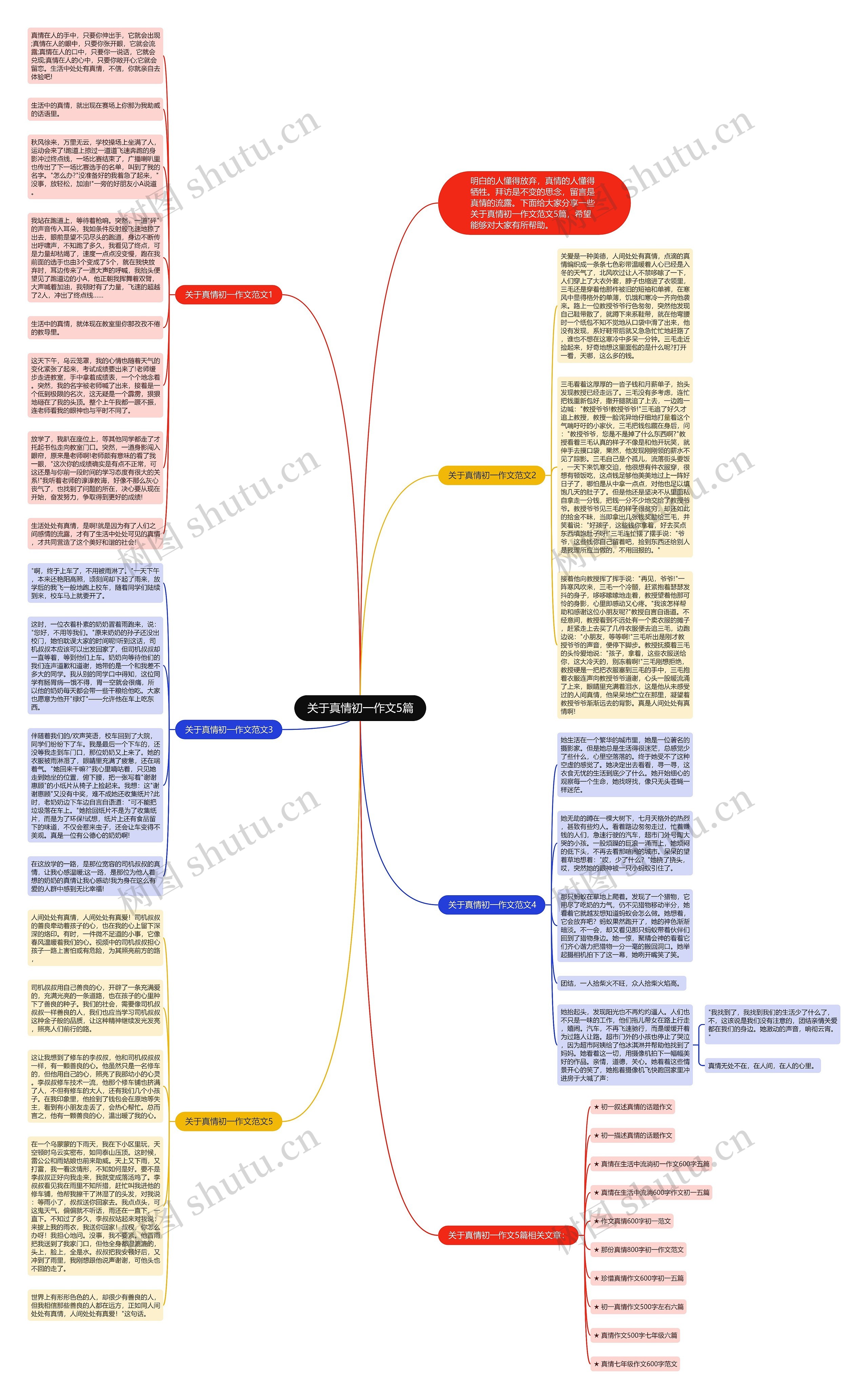 关于真情初一作文5篇思维导图