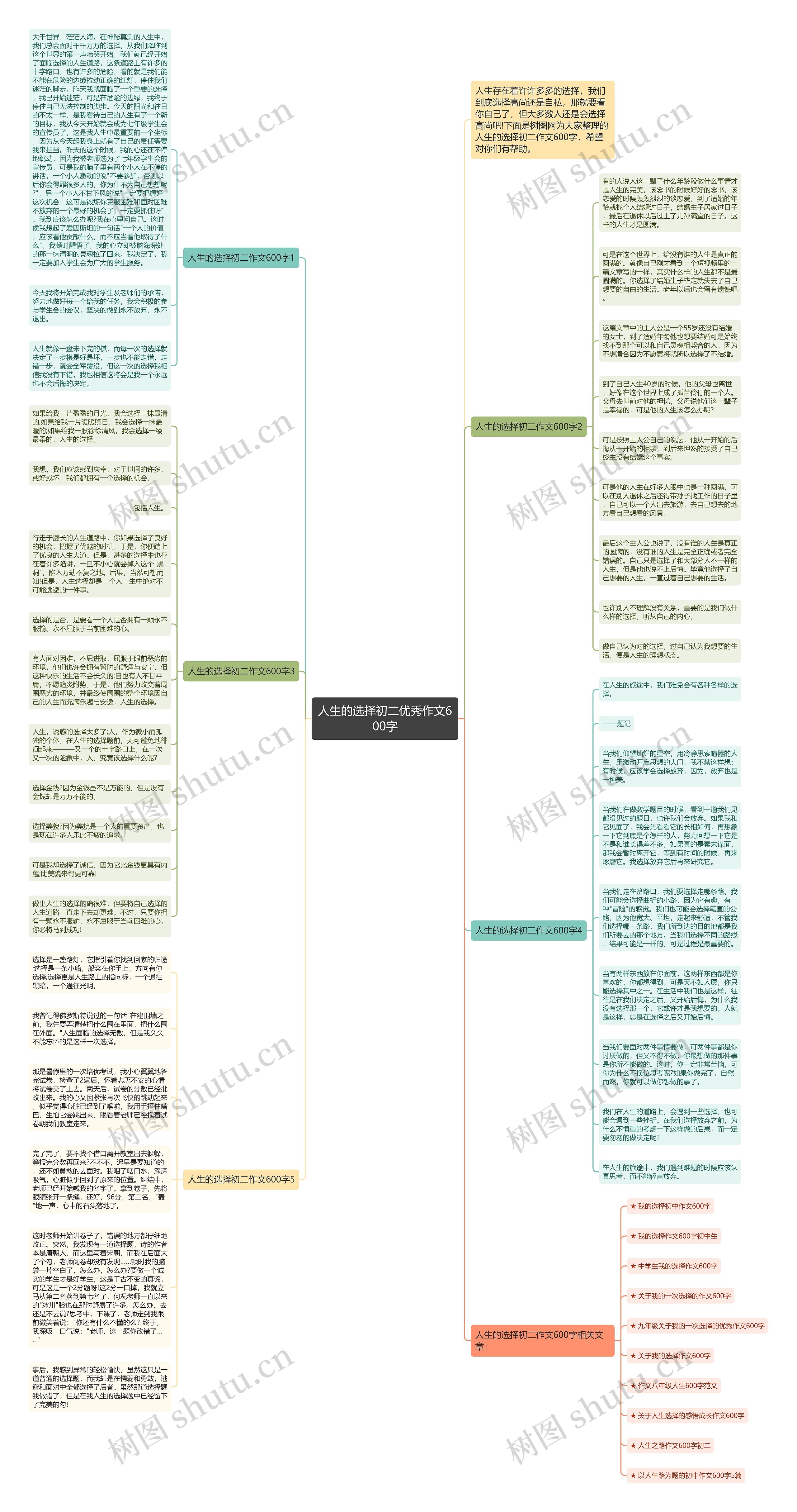 人生的选择初二优秀作文600字思维导图