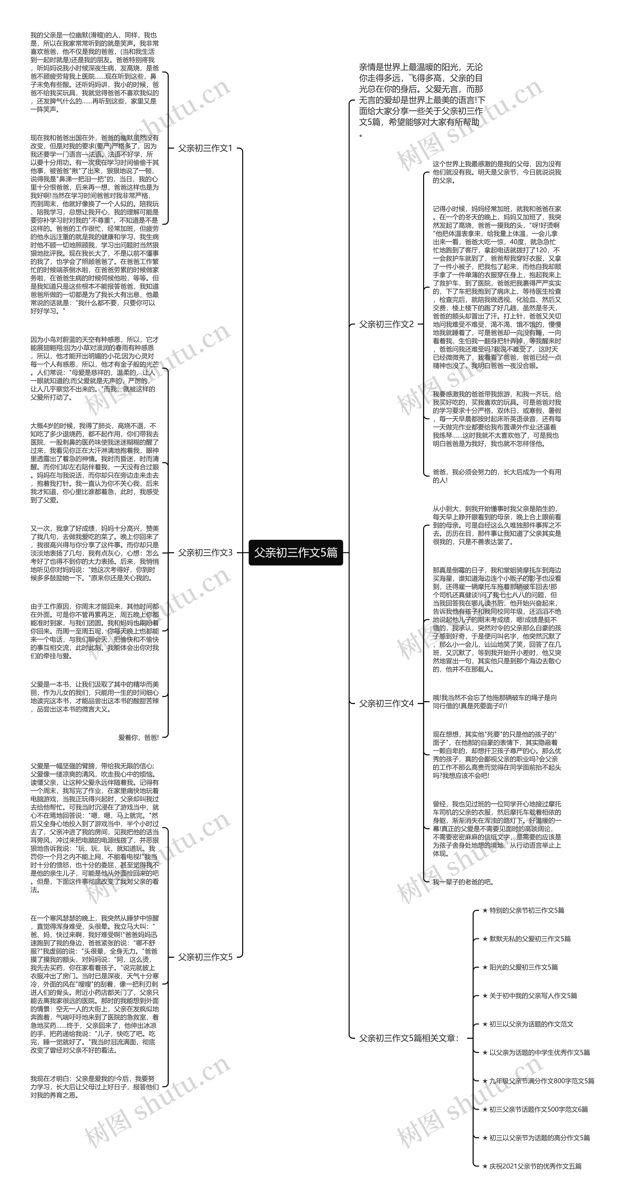 父亲初三作文5篇思维导图