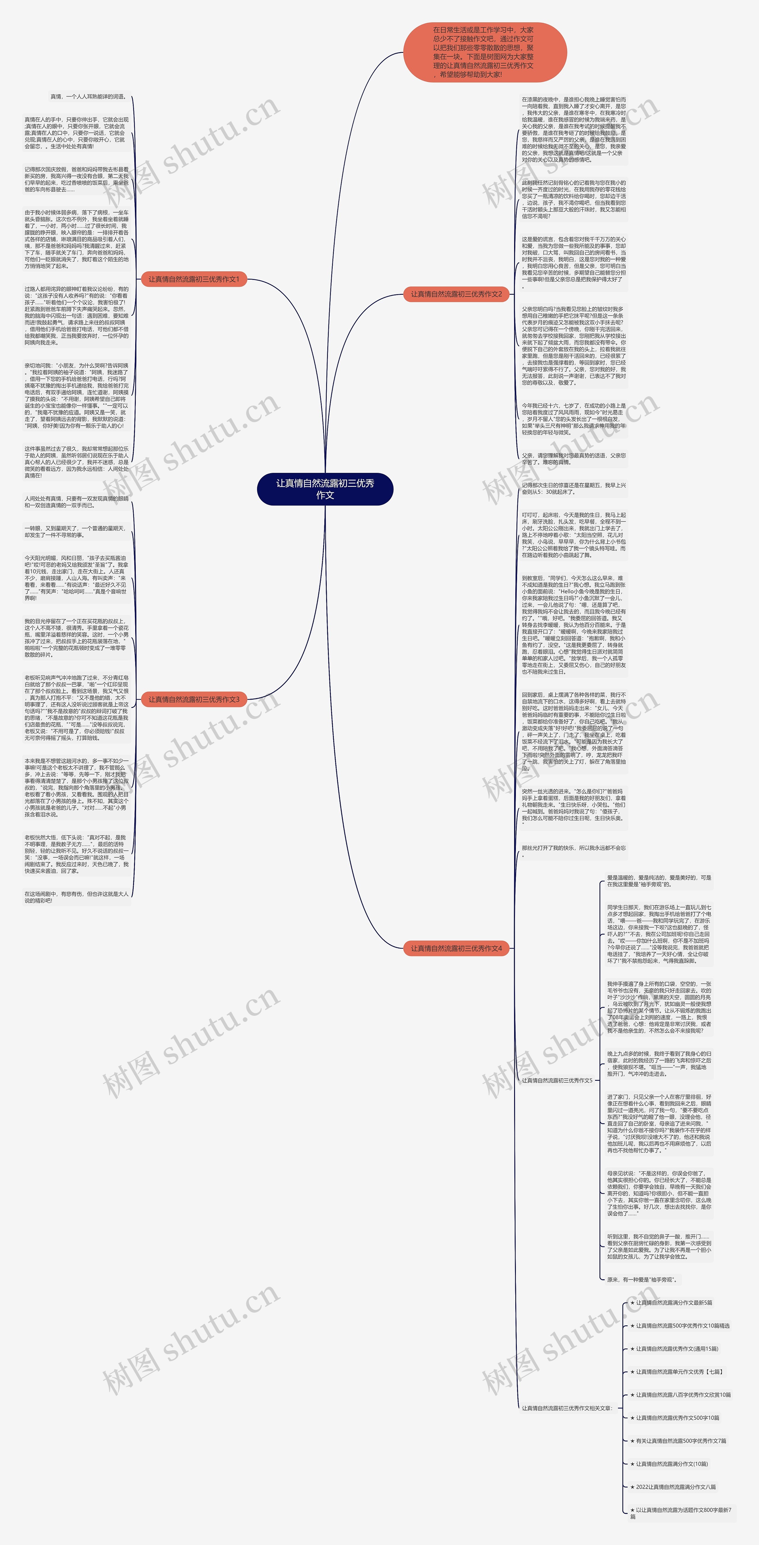 让真情自然流露初三优秀作文思维导图