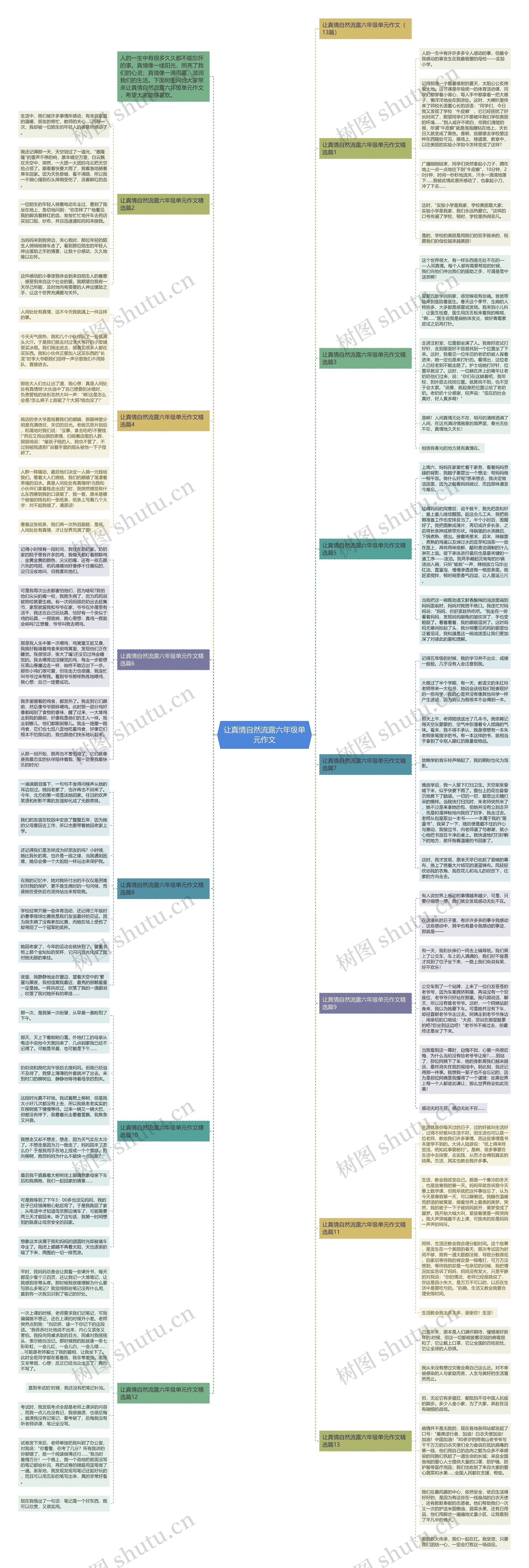 让真情自然流露六年级单元作文思维导图