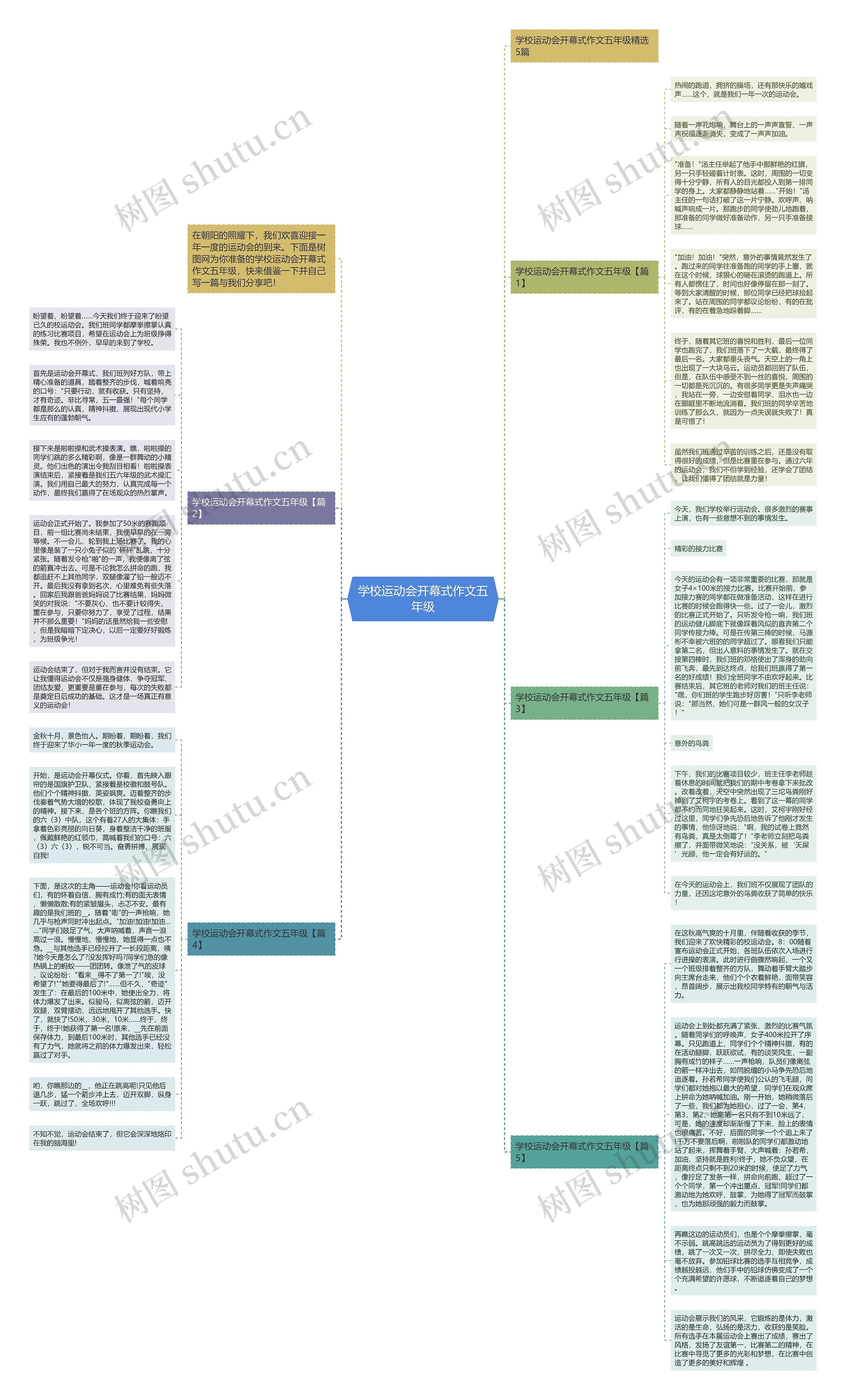 学校运动会开幕式作文五年级思维导图