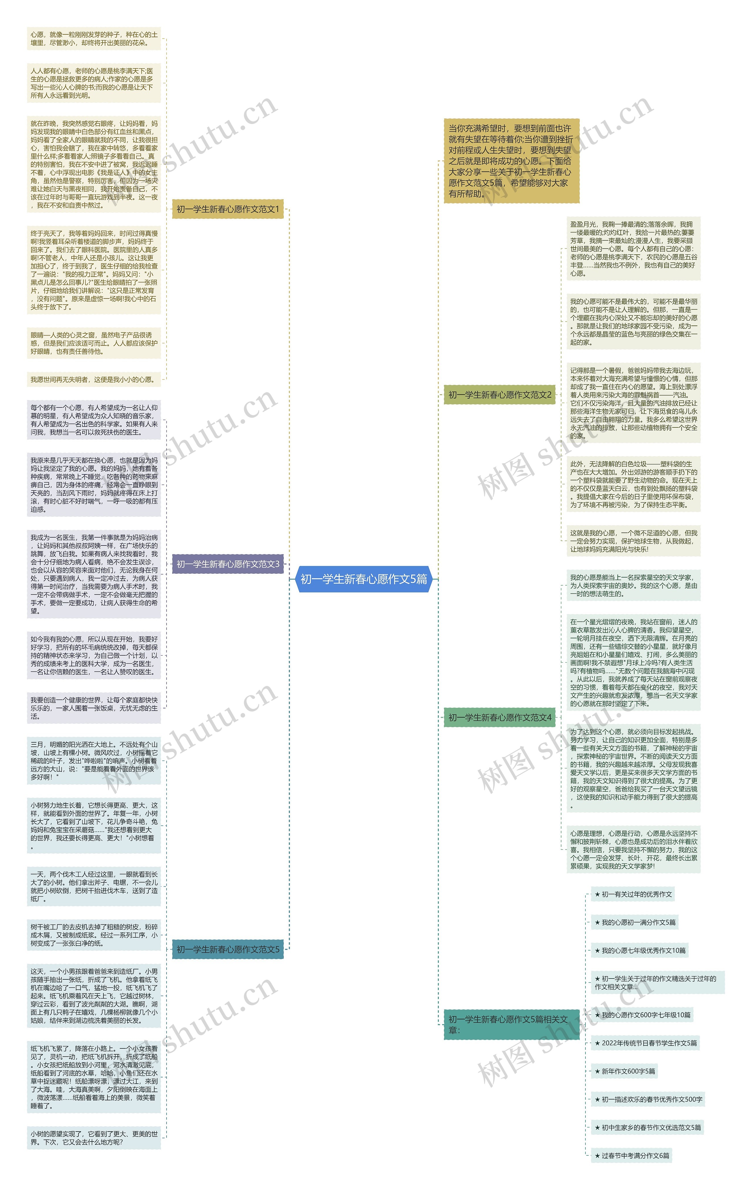 初一学生新春心愿作文5篇思维导图