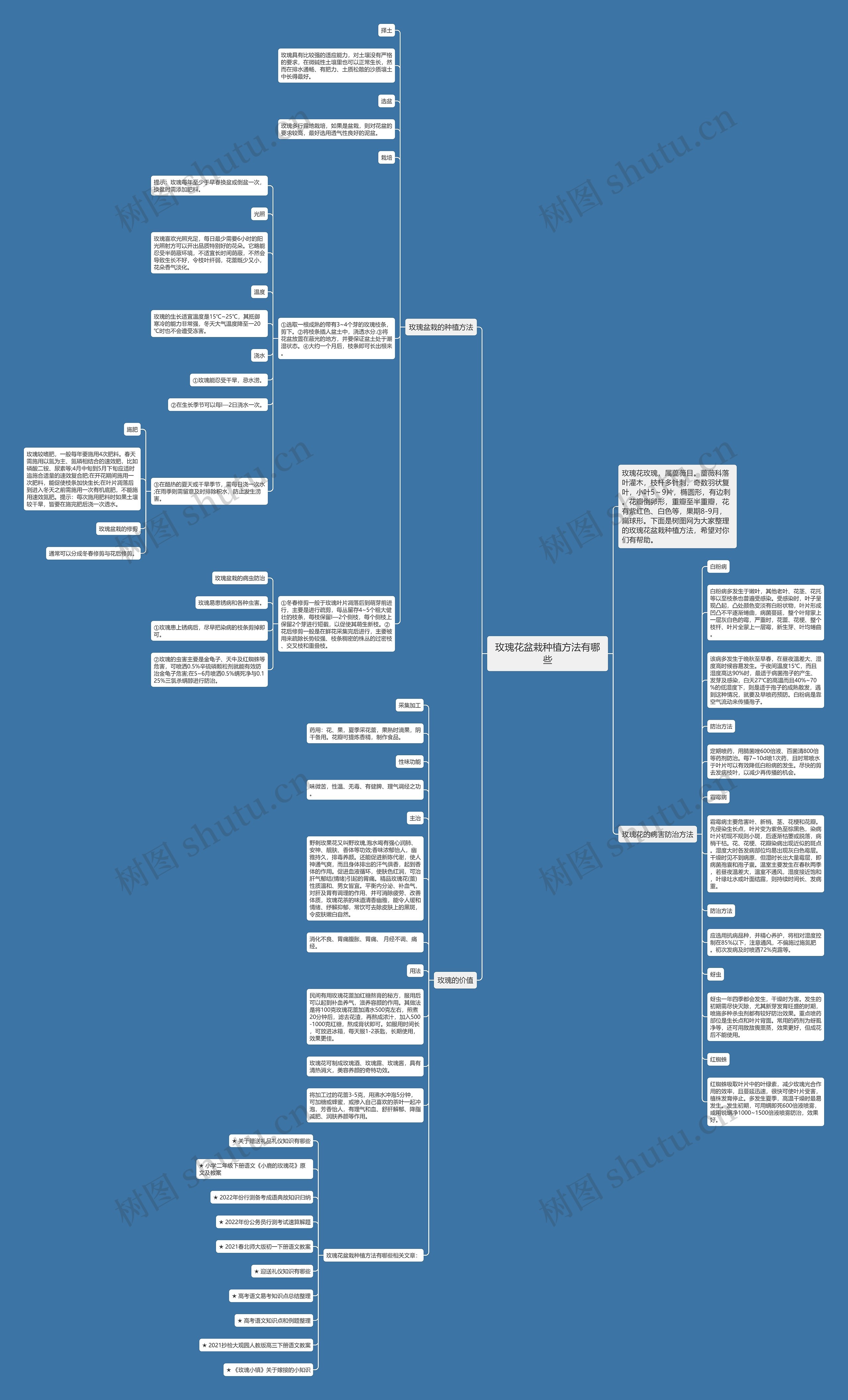 玫瑰花盆栽种植方法有哪些思维导图