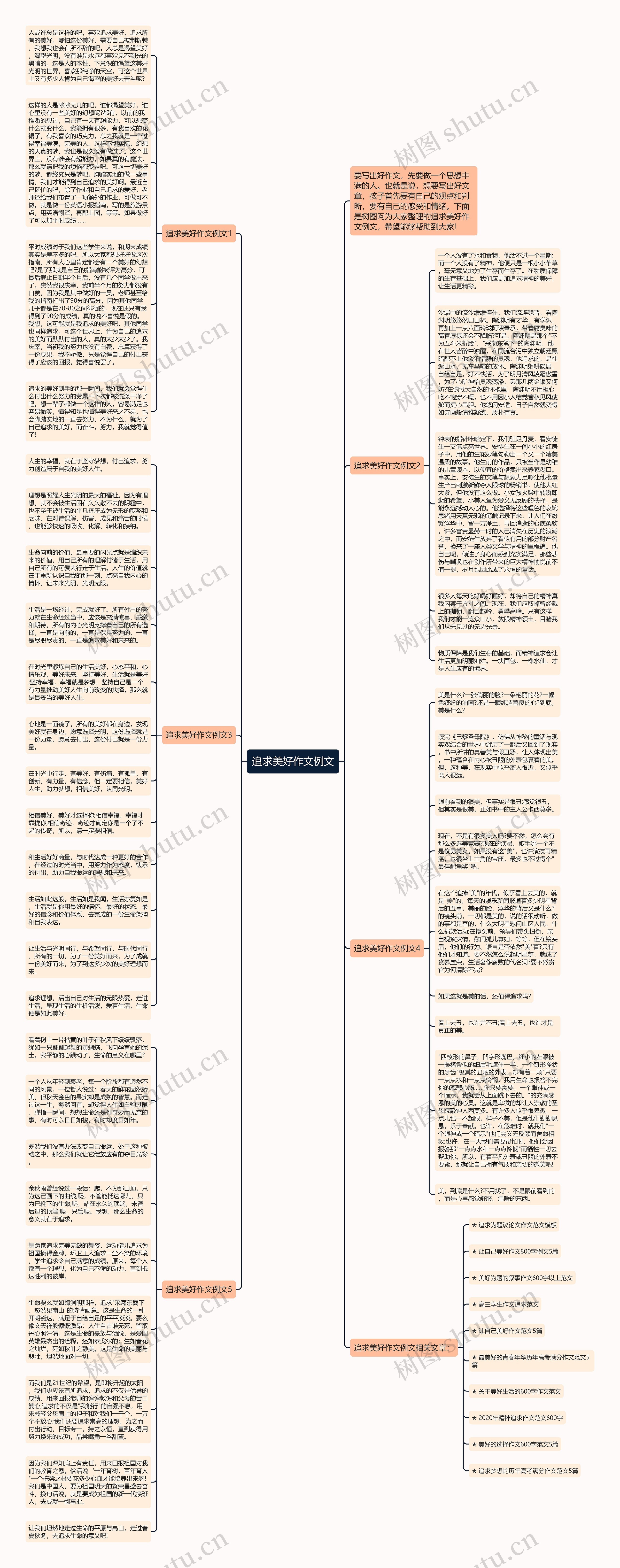 追求美好作文例文思维导图
