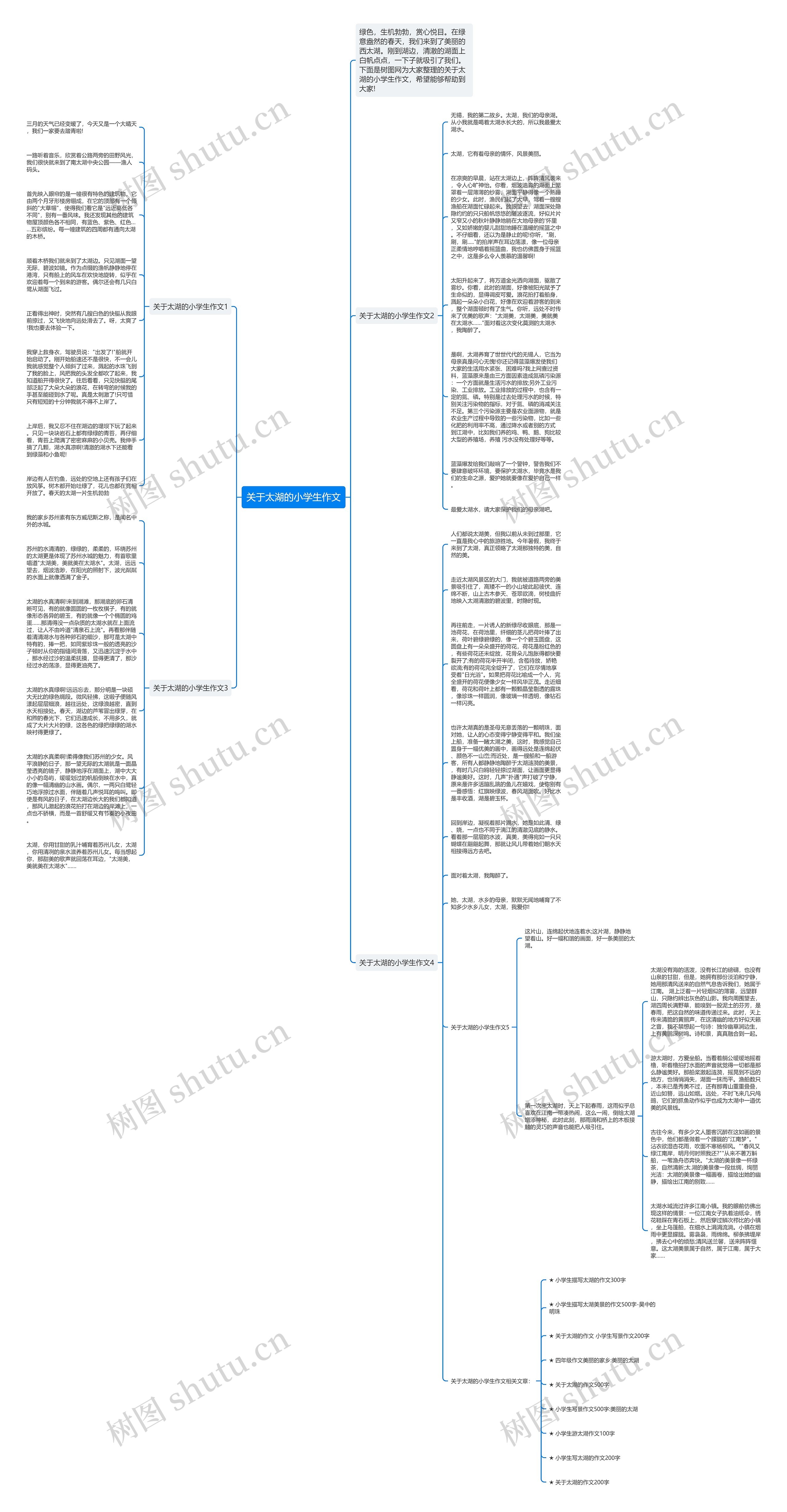 关于太湖的小学生作文思维导图