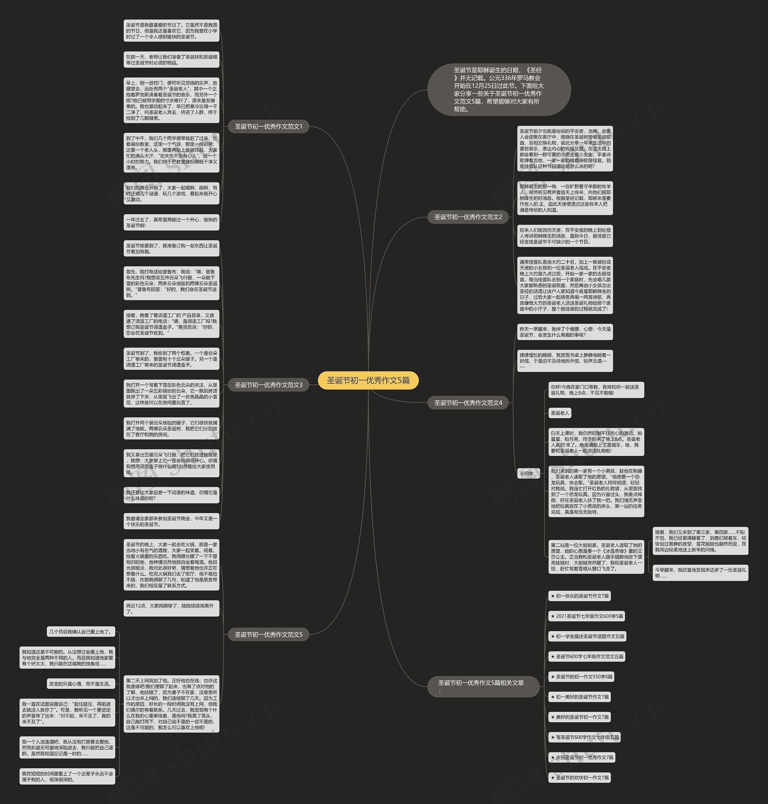 圣诞节初一优秀作文5篇思维导图