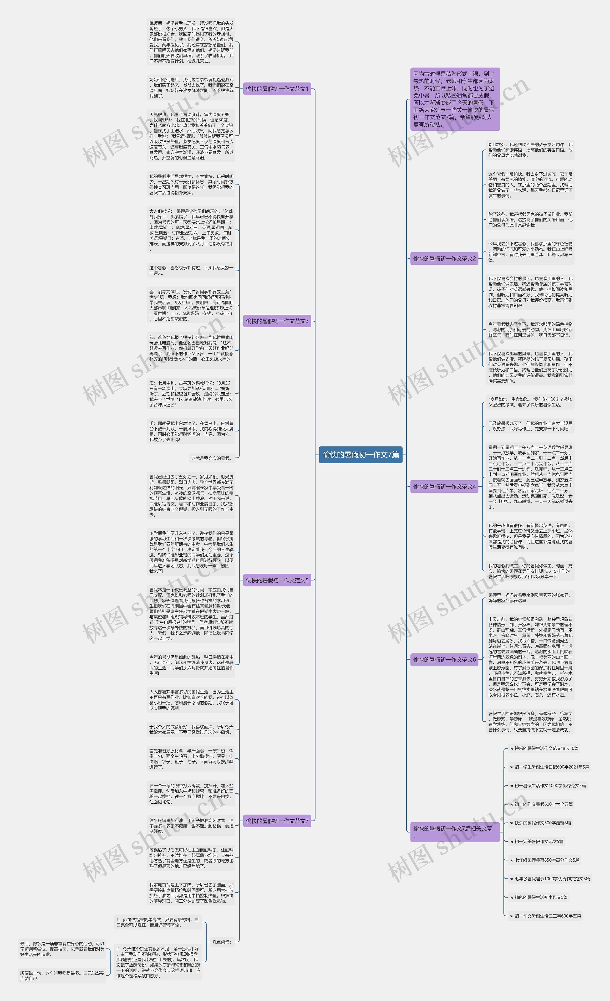 愉快的暑假初一作文7篇思维导图