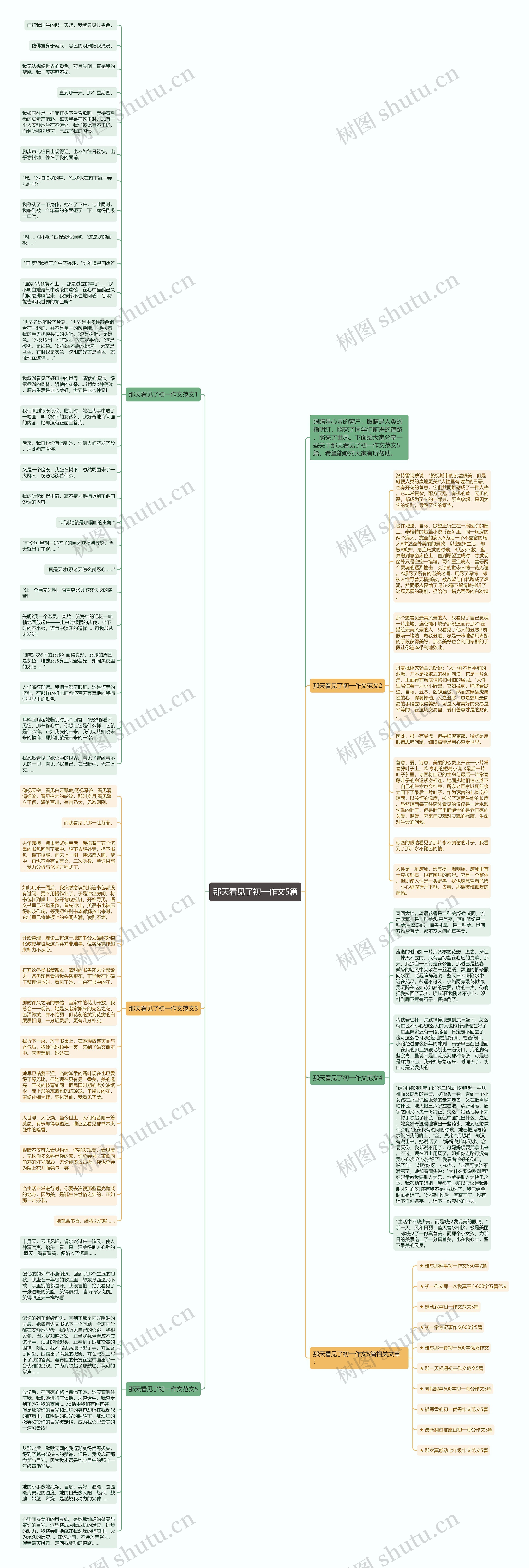 那天看见了初一作文5篇思维导图