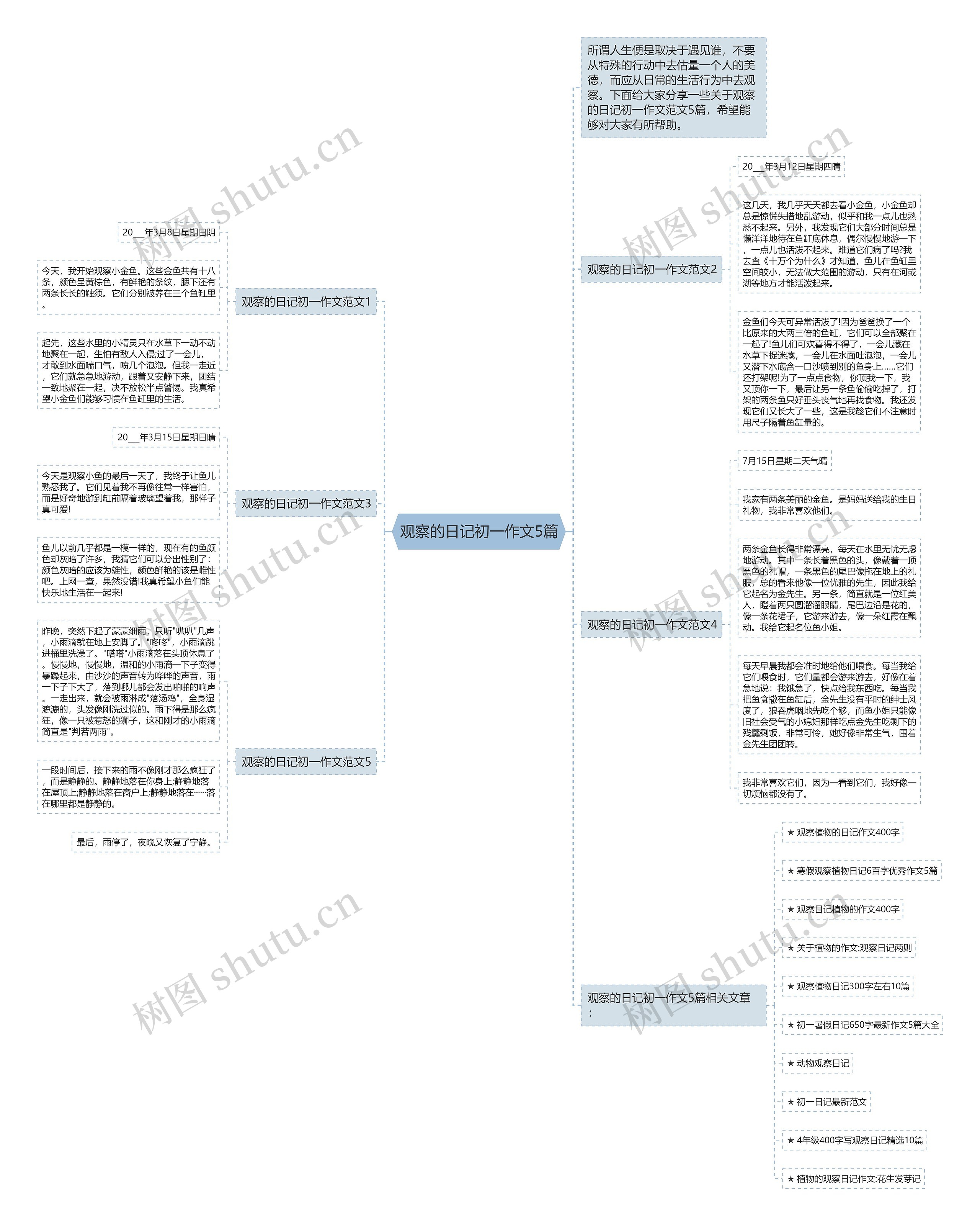 观察的日记初一作文5篇思维导图