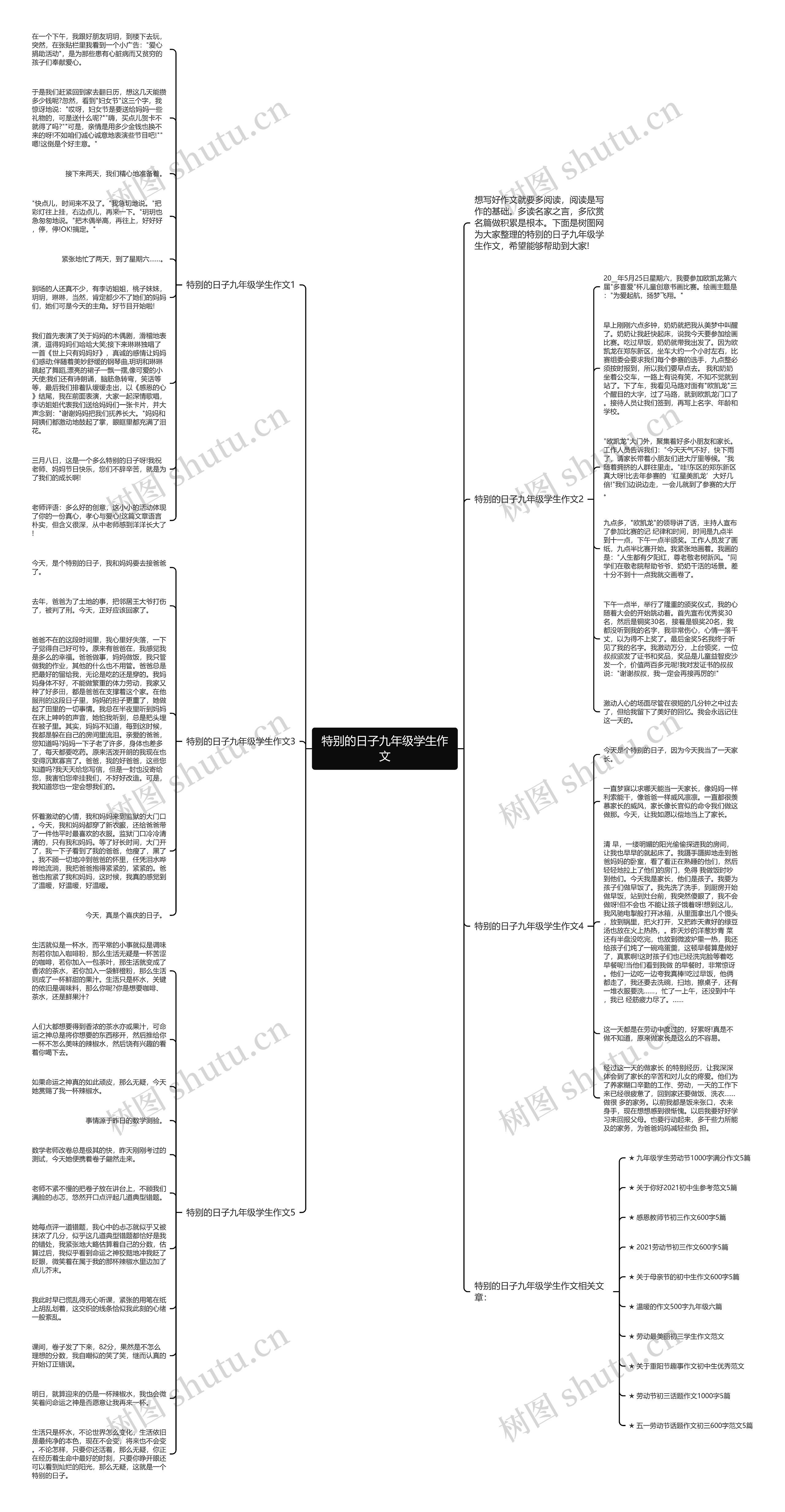 特别的日子九年级学生作文思维导图