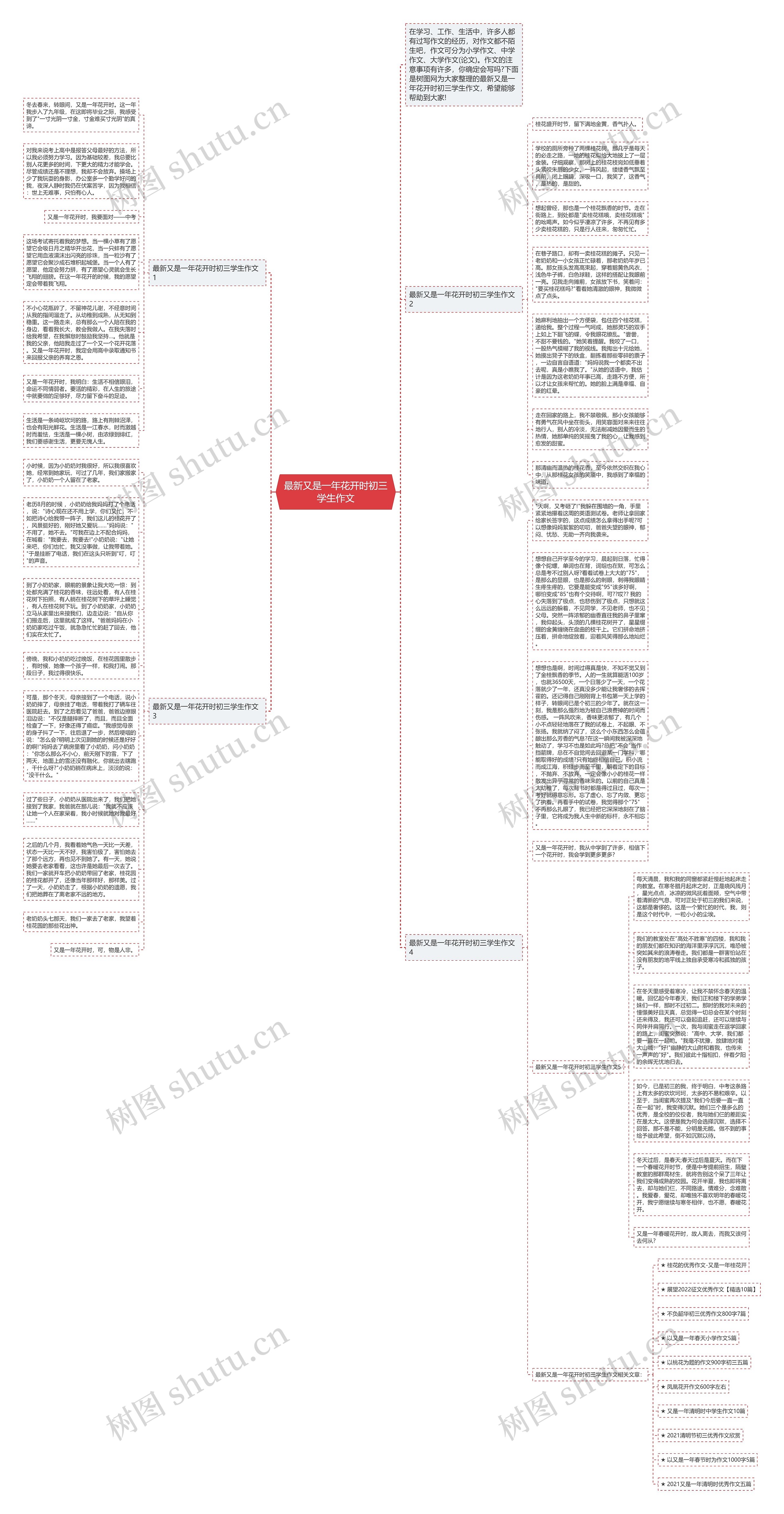 最新又是一年花开时初三学生作文思维导图