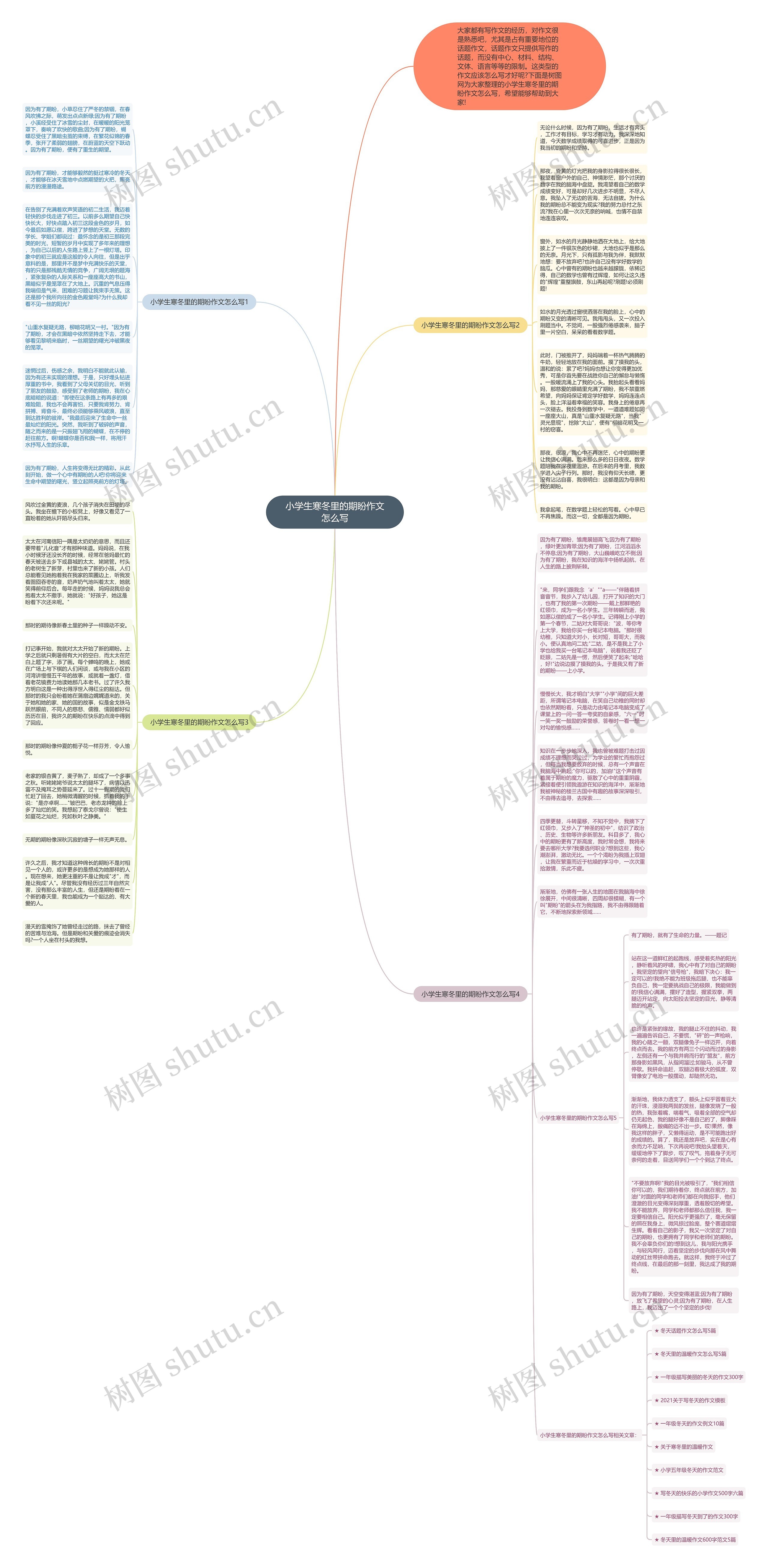 小学生寒冬里的期盼作文怎么写思维导图