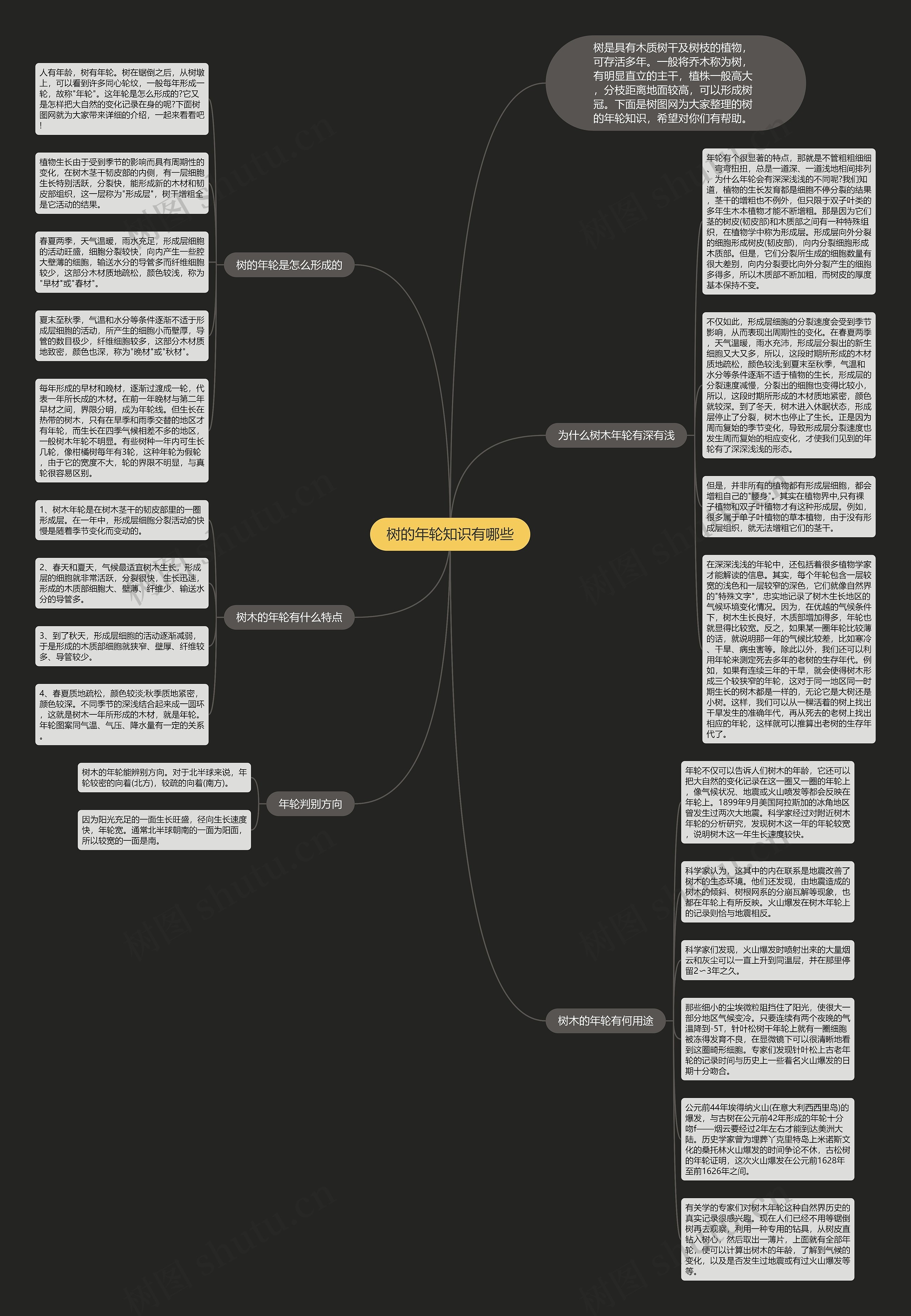 树的年轮知识有哪些思维导图