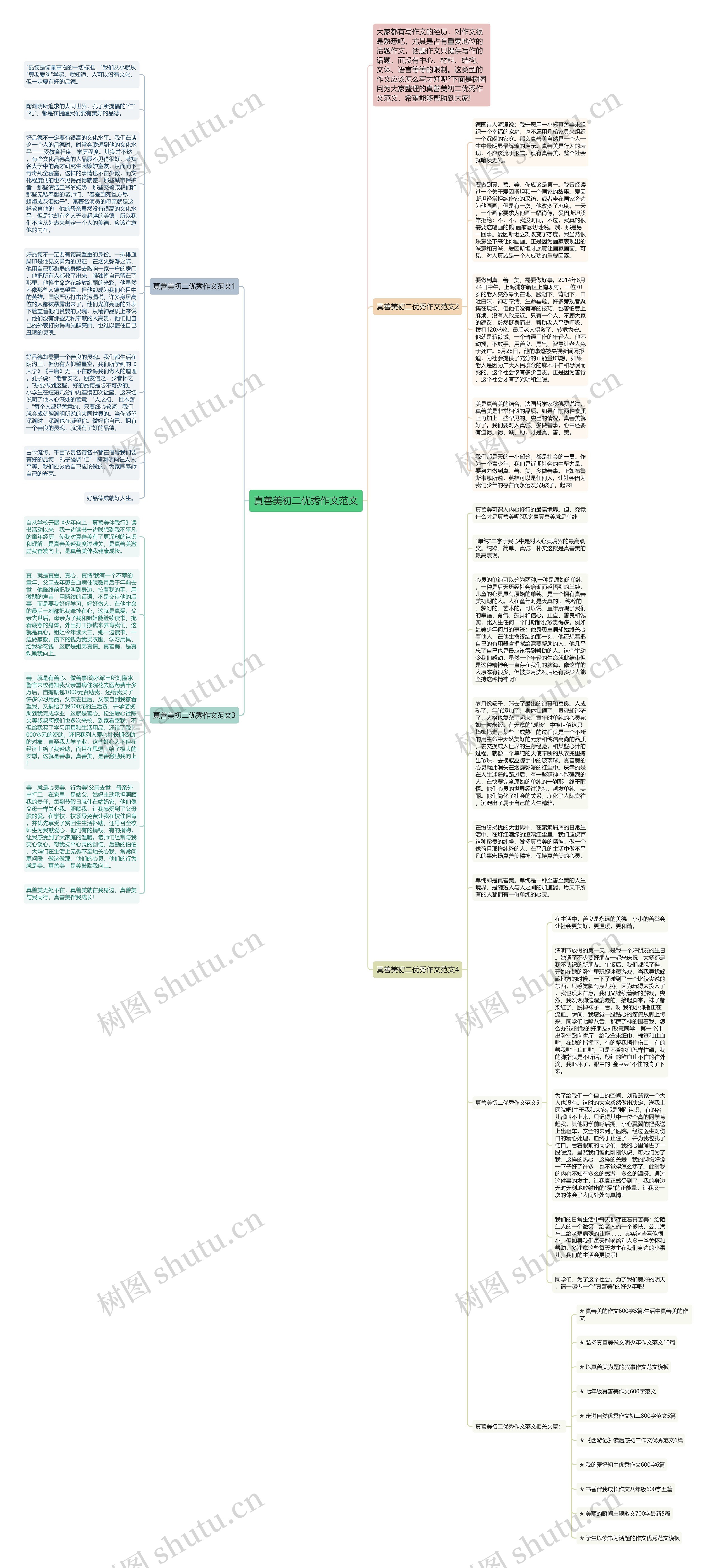 真善美初二优秀作文范文思维导图