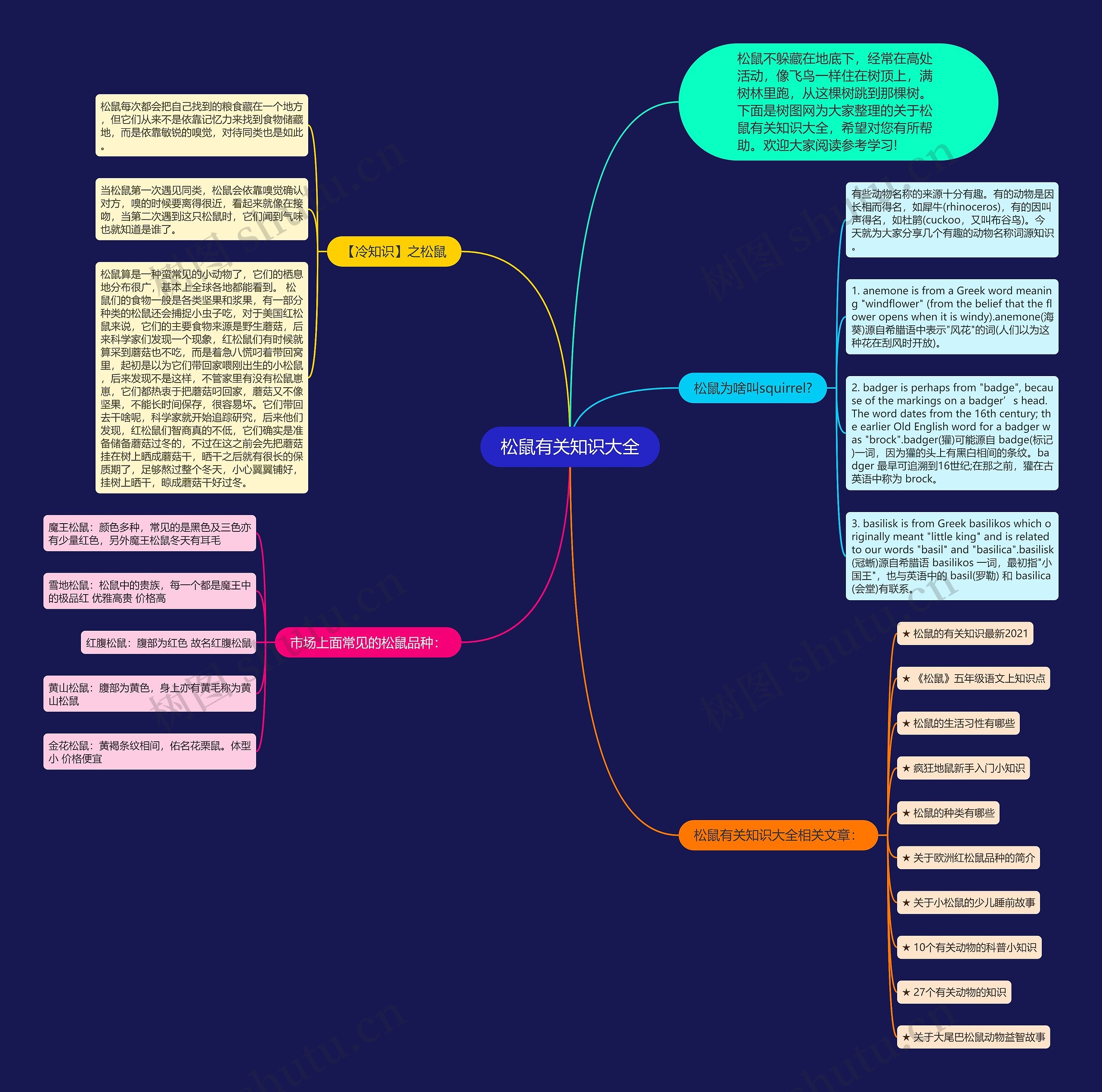 松鼠有关知识大全思维导图