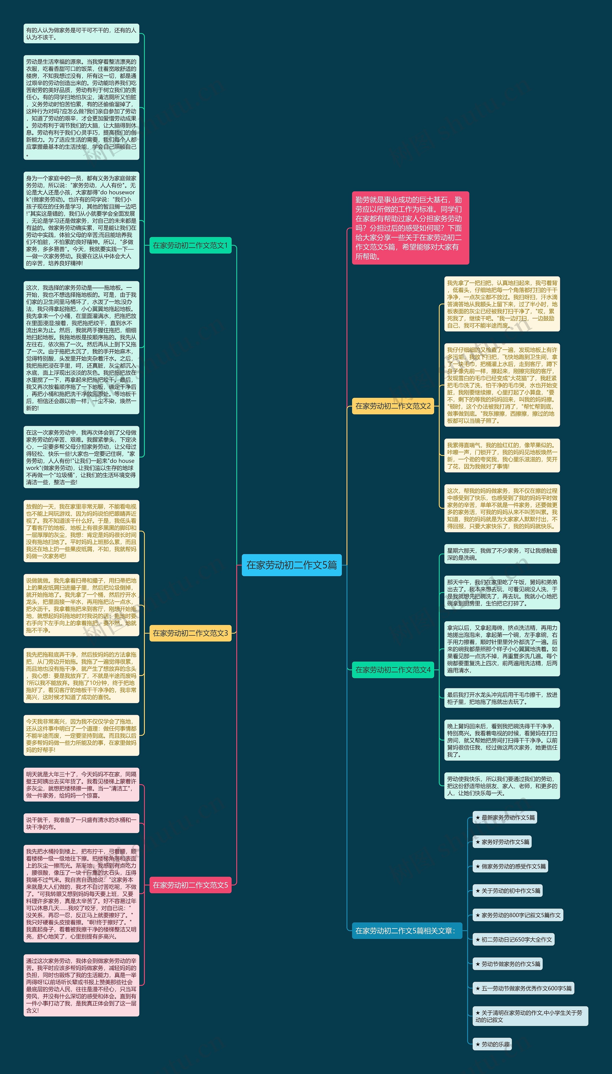 在家劳动初二作文5篇思维导图
