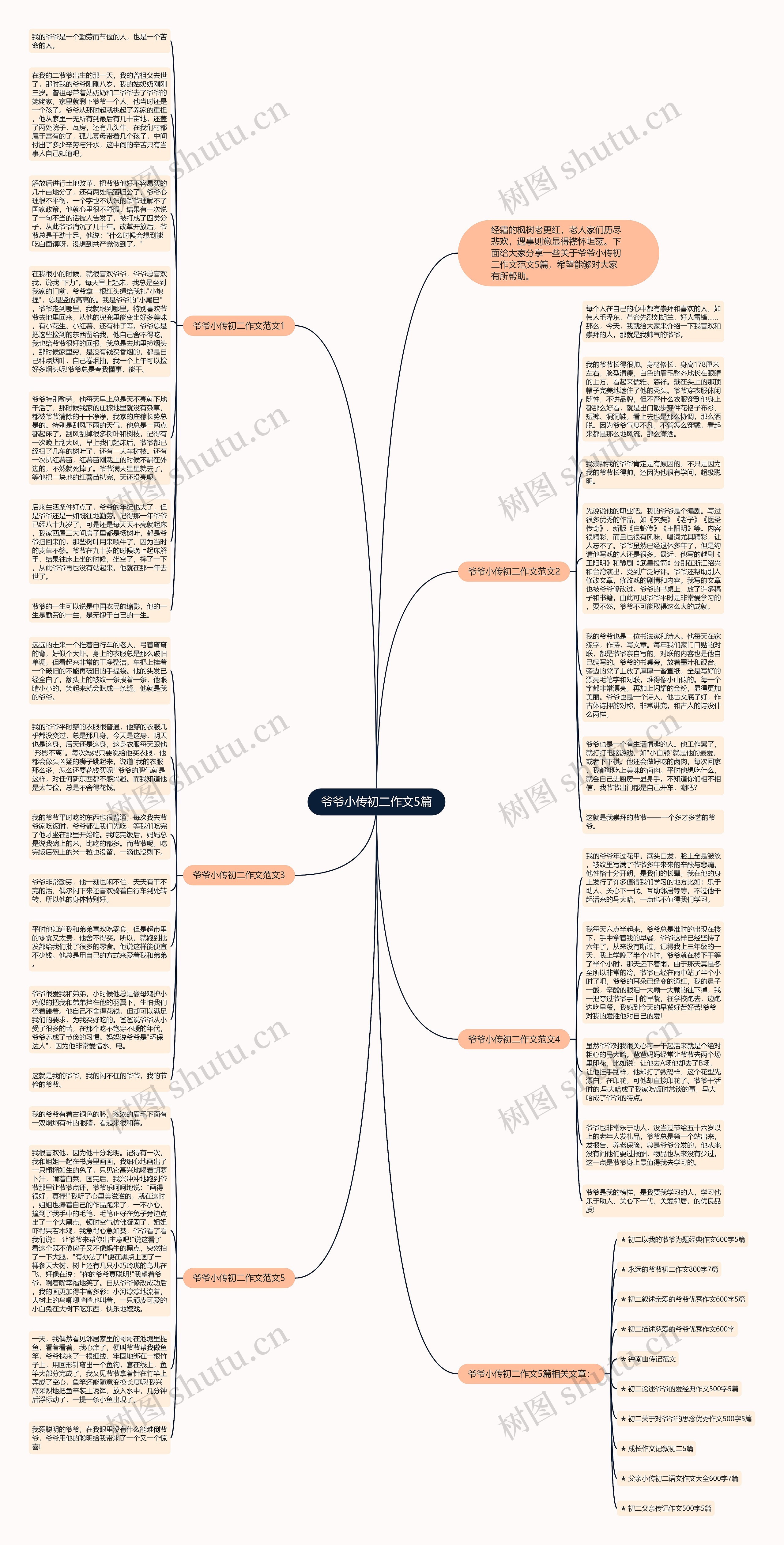 爷爷小传初二作文5篇思维导图