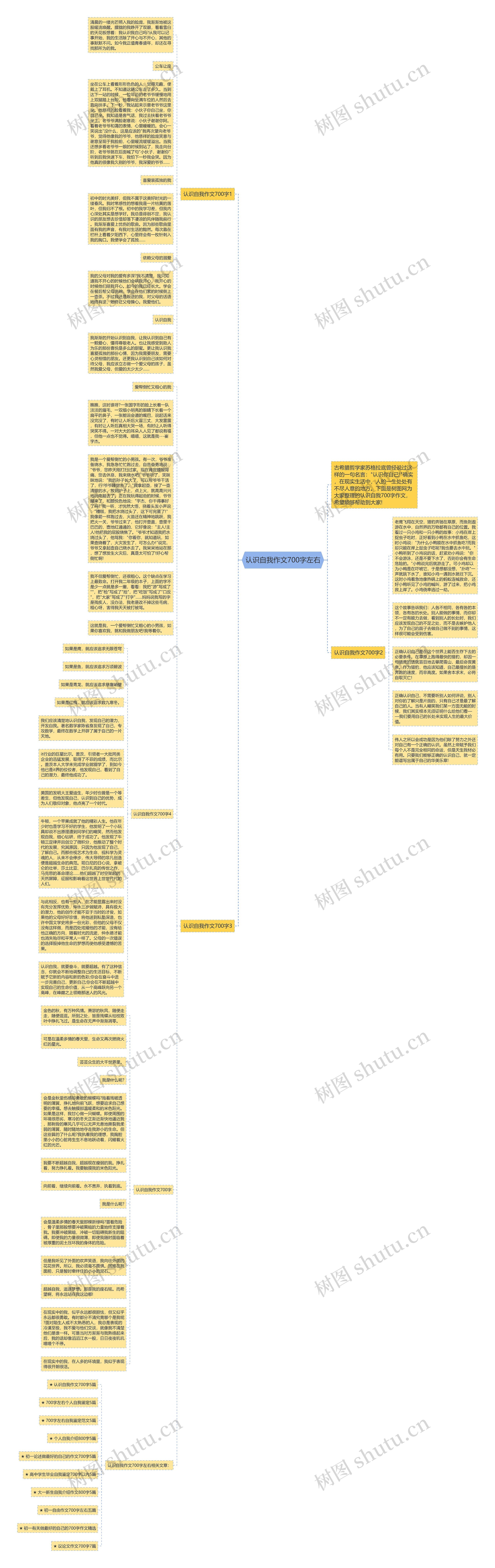 认识自我作文700字左右思维导图