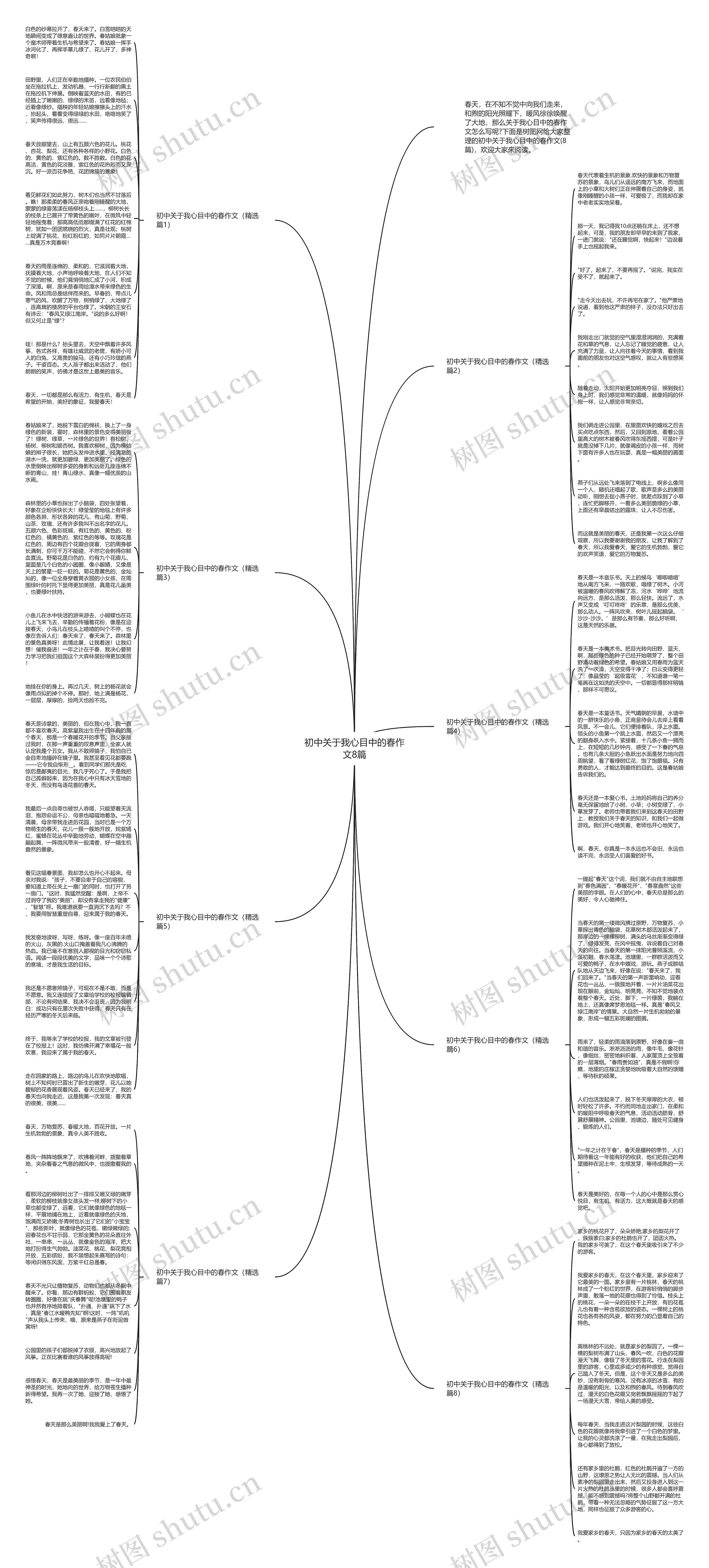 初中关于我心目中的春作文8篇思维导图