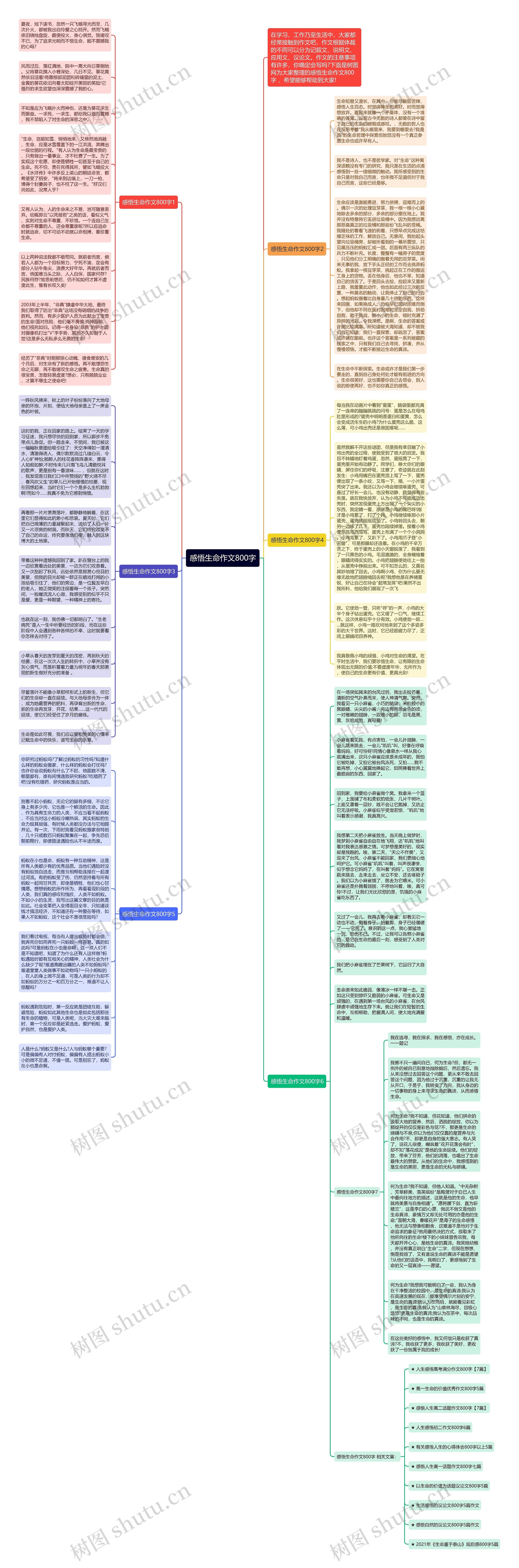 感悟生命作文800字思维导图