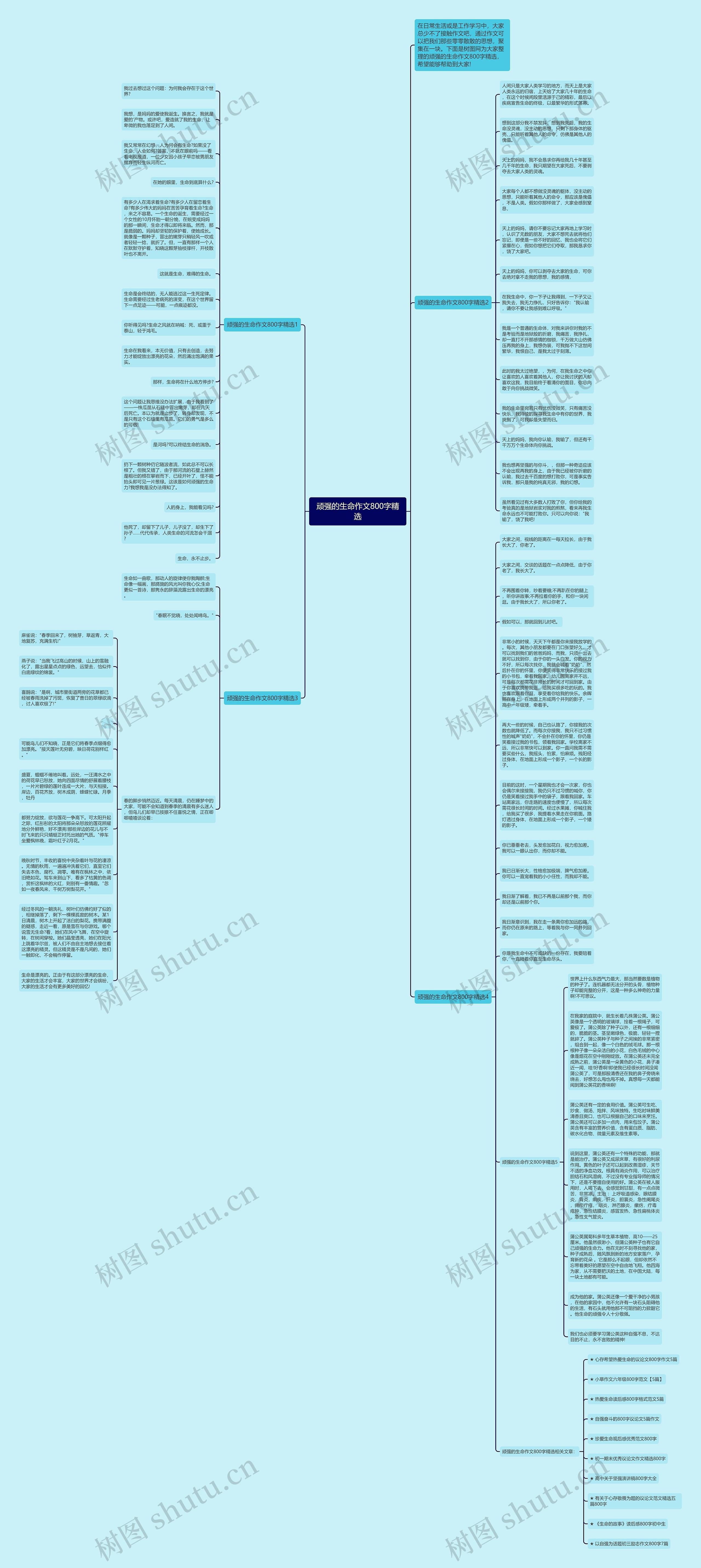 顽强的生命作文800字精选思维导图