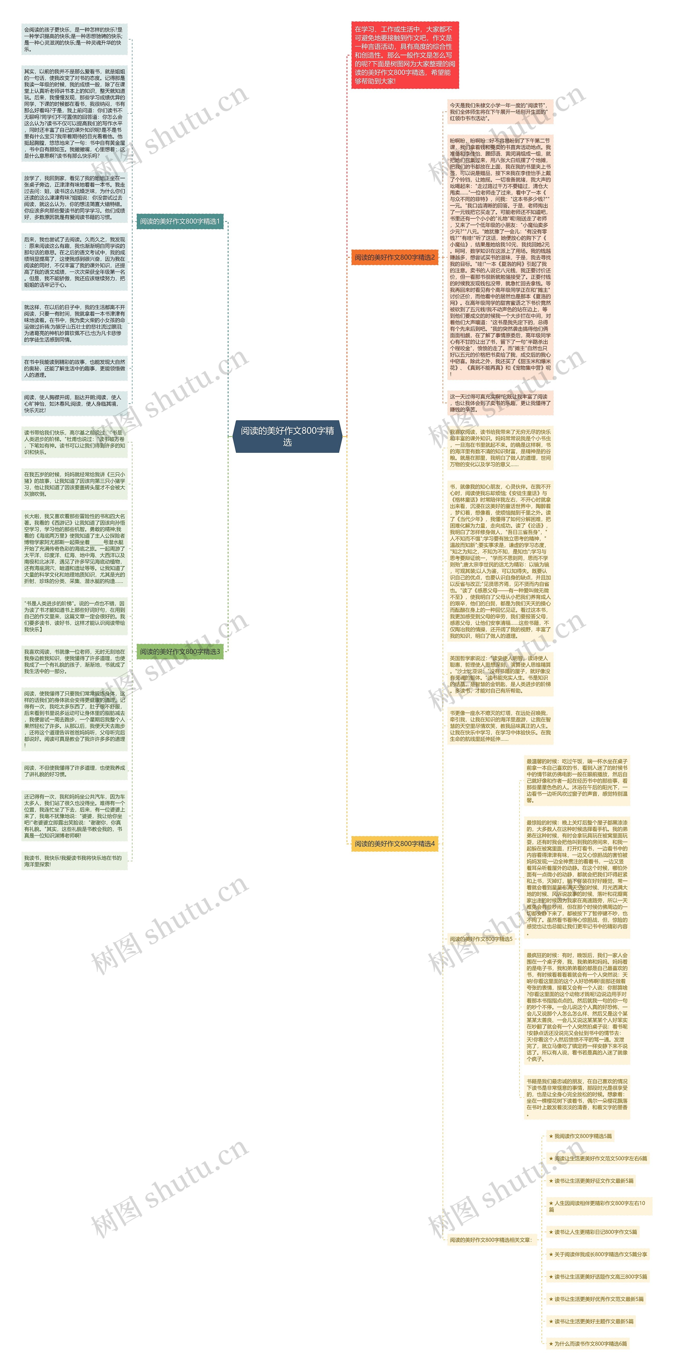 阅读的美好作文800字精选思维导图