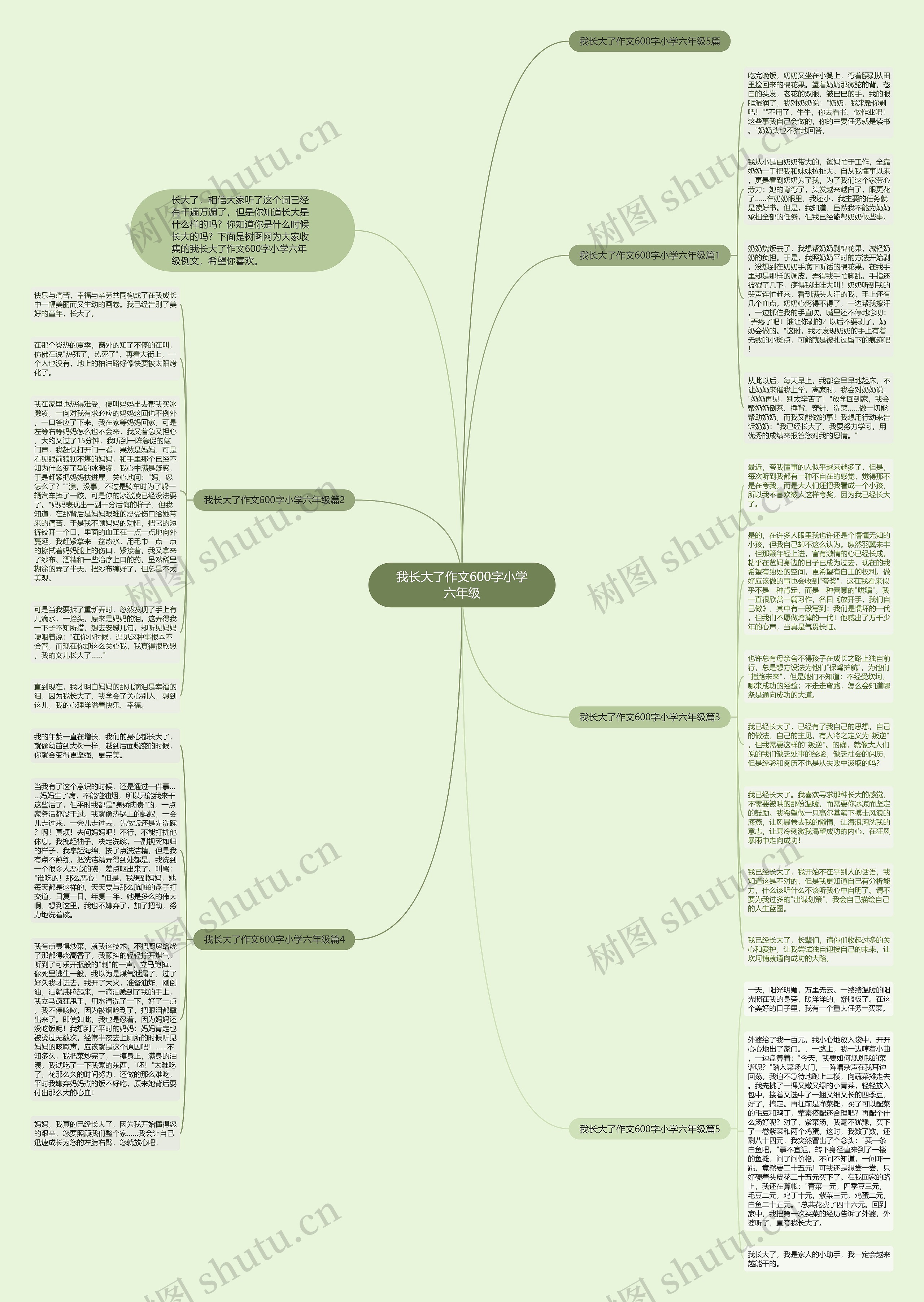 我长大了作文600字小学六年级思维导图
