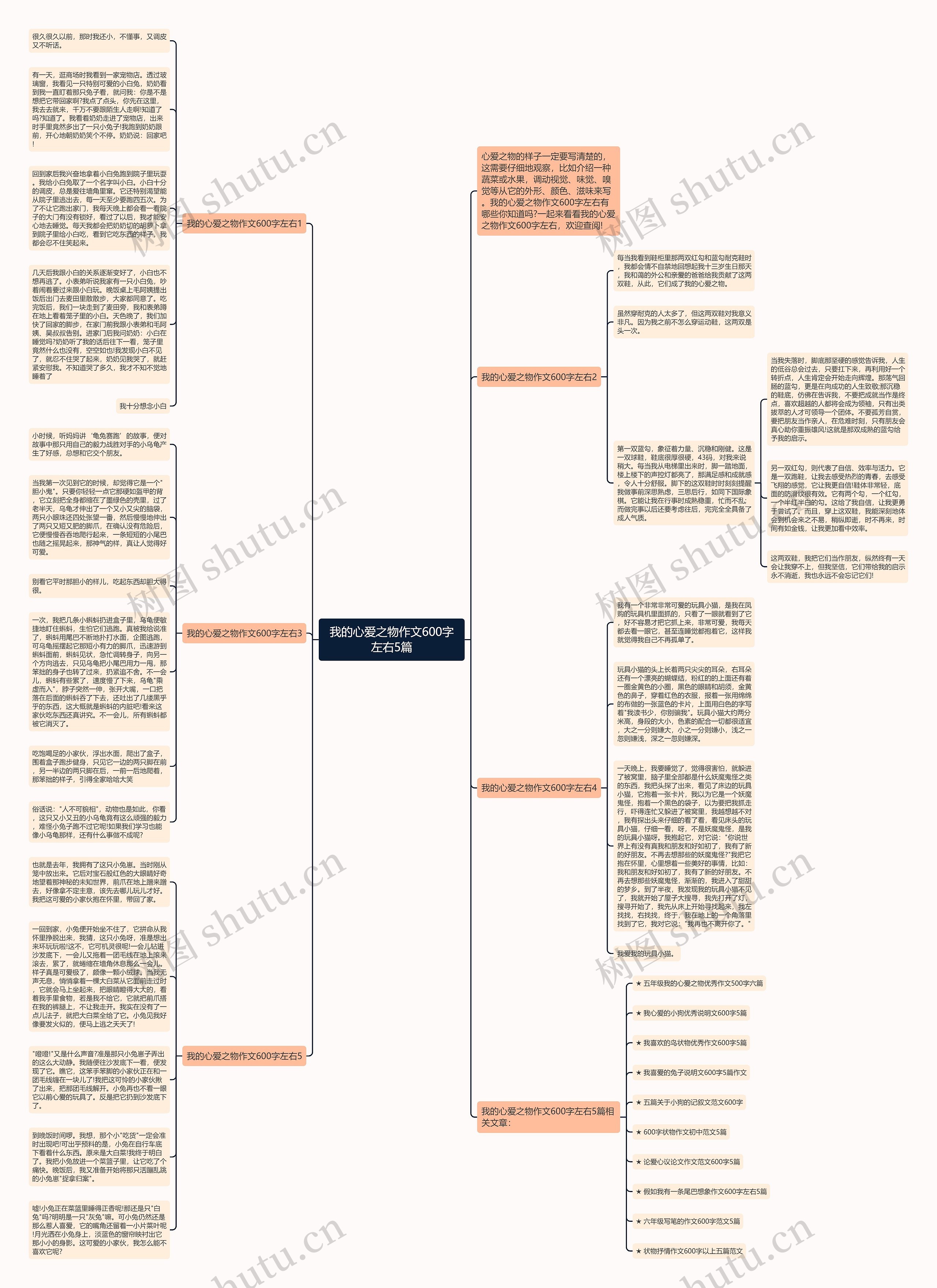 我的心爱之物作文600字左右5篇思维导图
