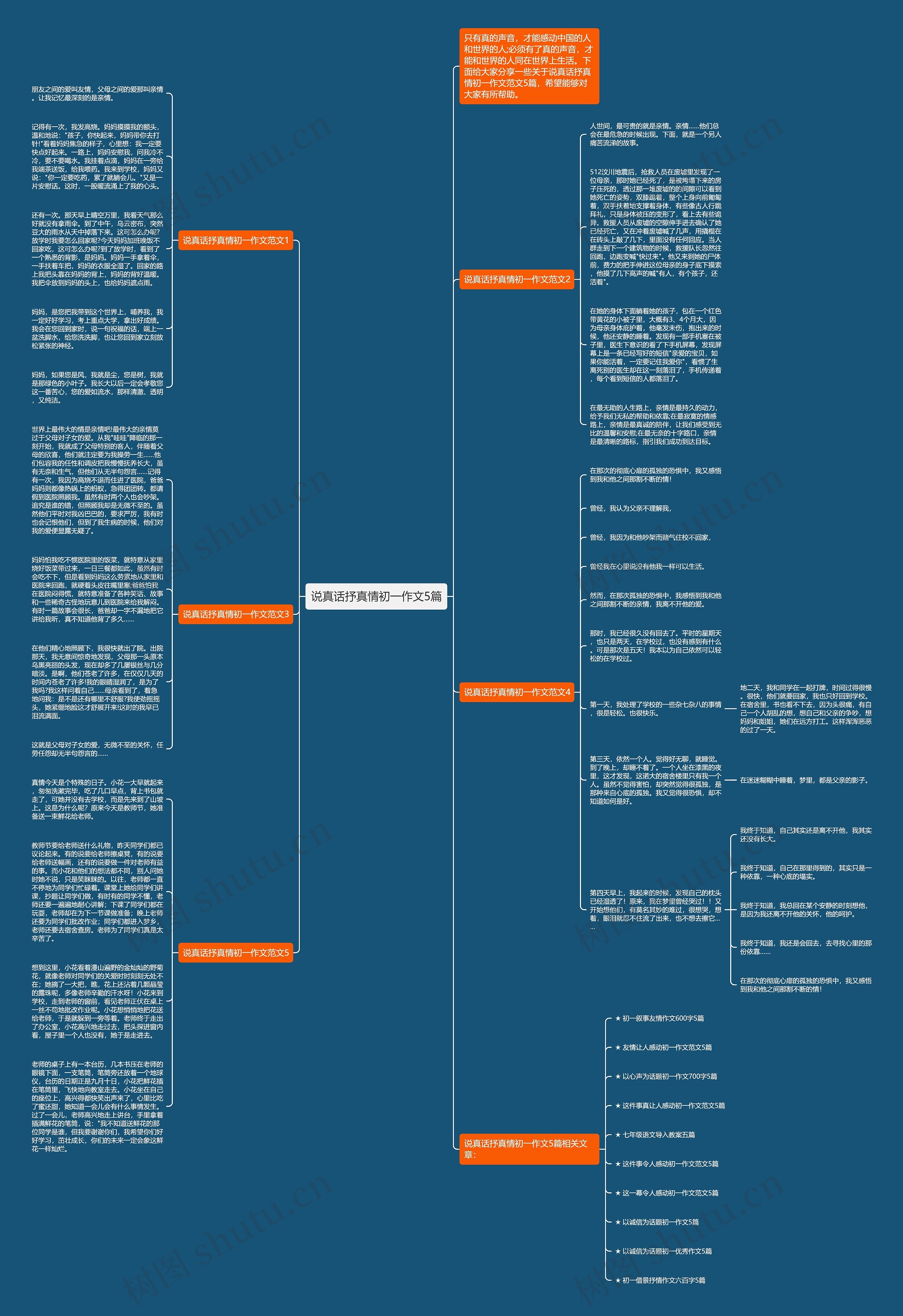 说真话抒真情初一作文5篇思维导图