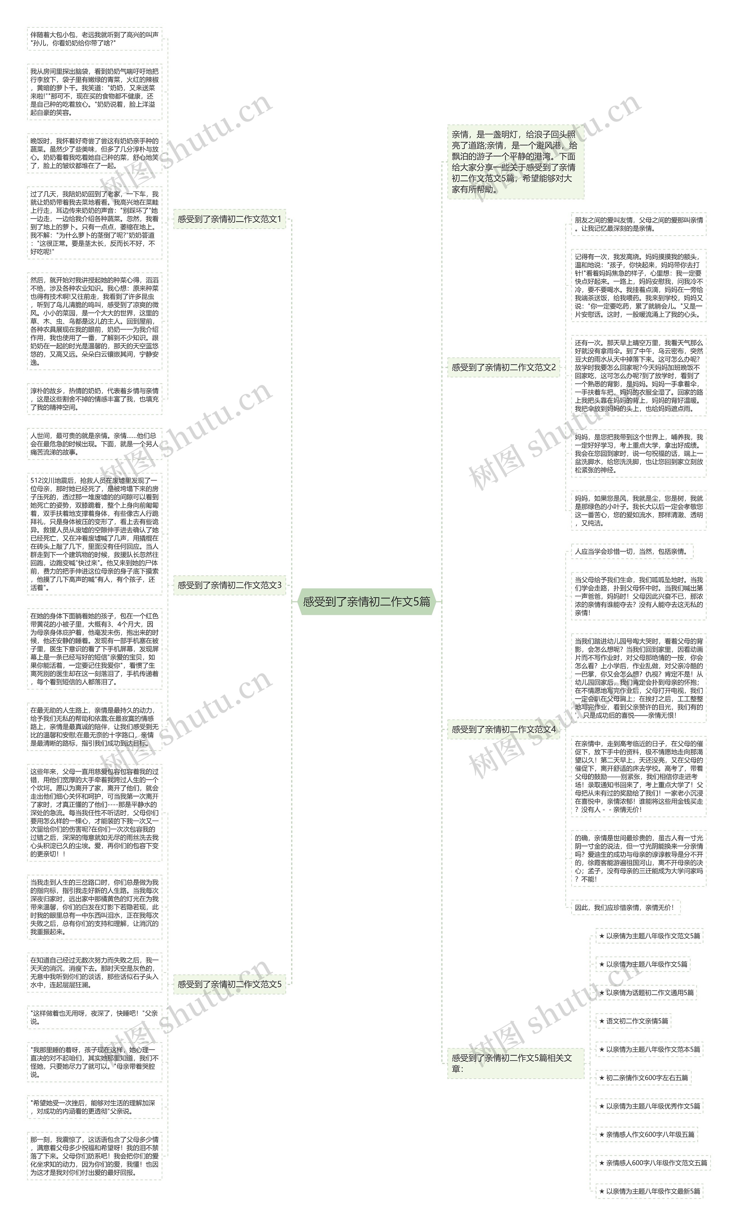 感受到了亲情初二作文5篇思维导图