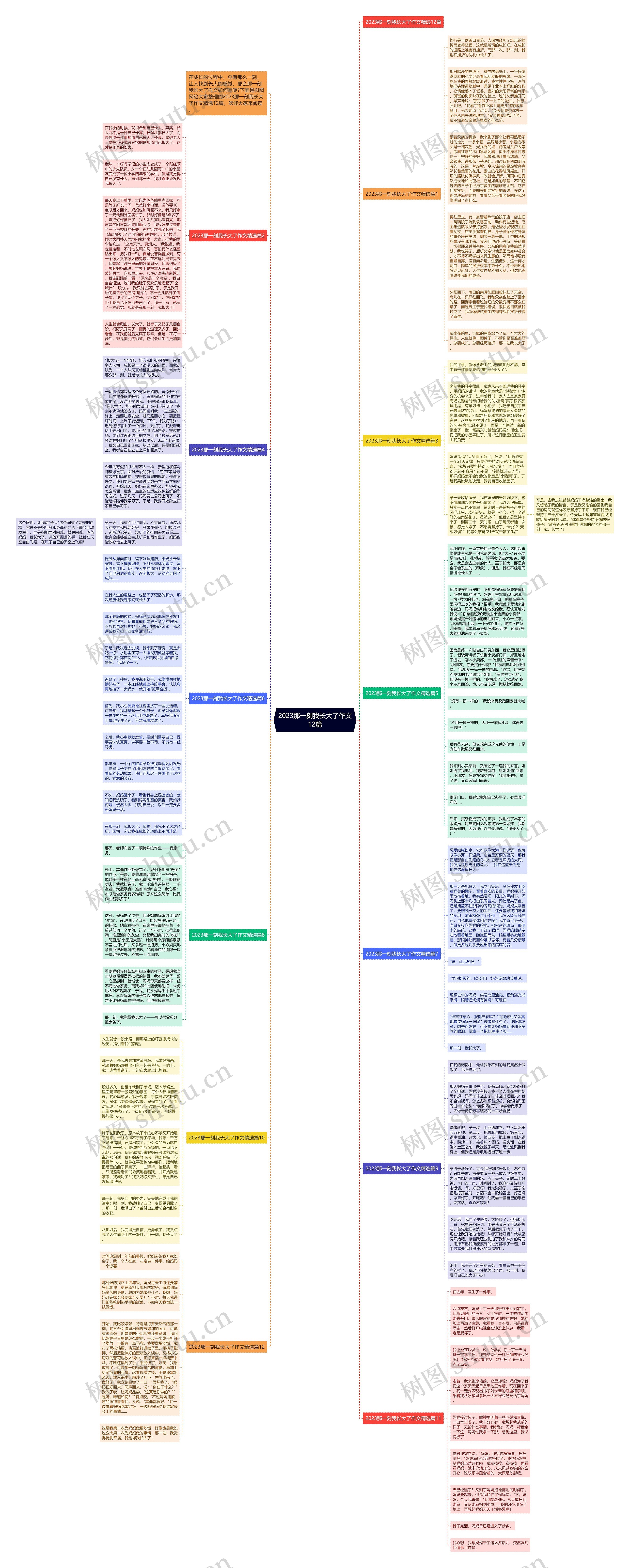2023那一刻我长大了作文12篇思维导图