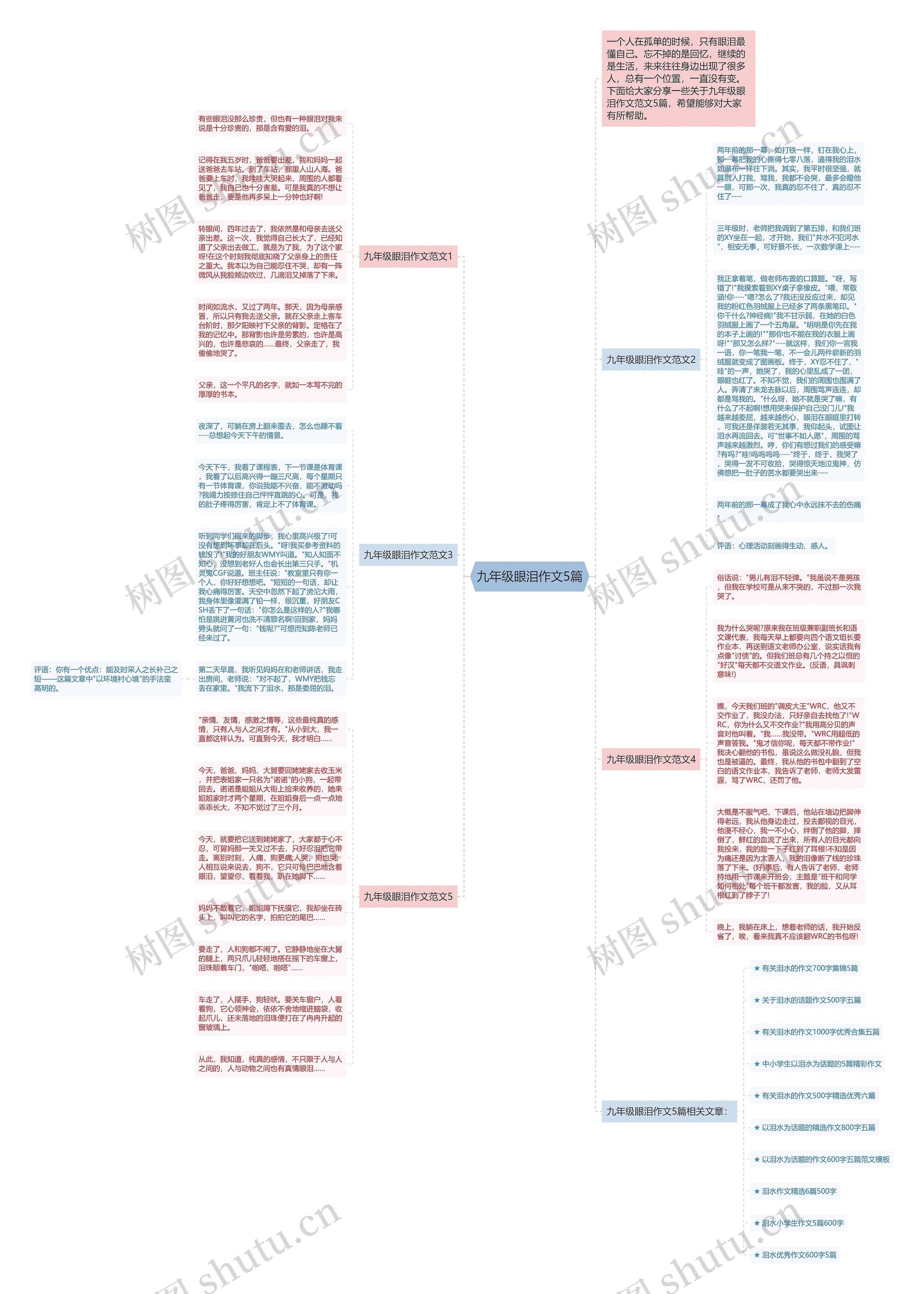 九年级眼泪作文5篇思维导图