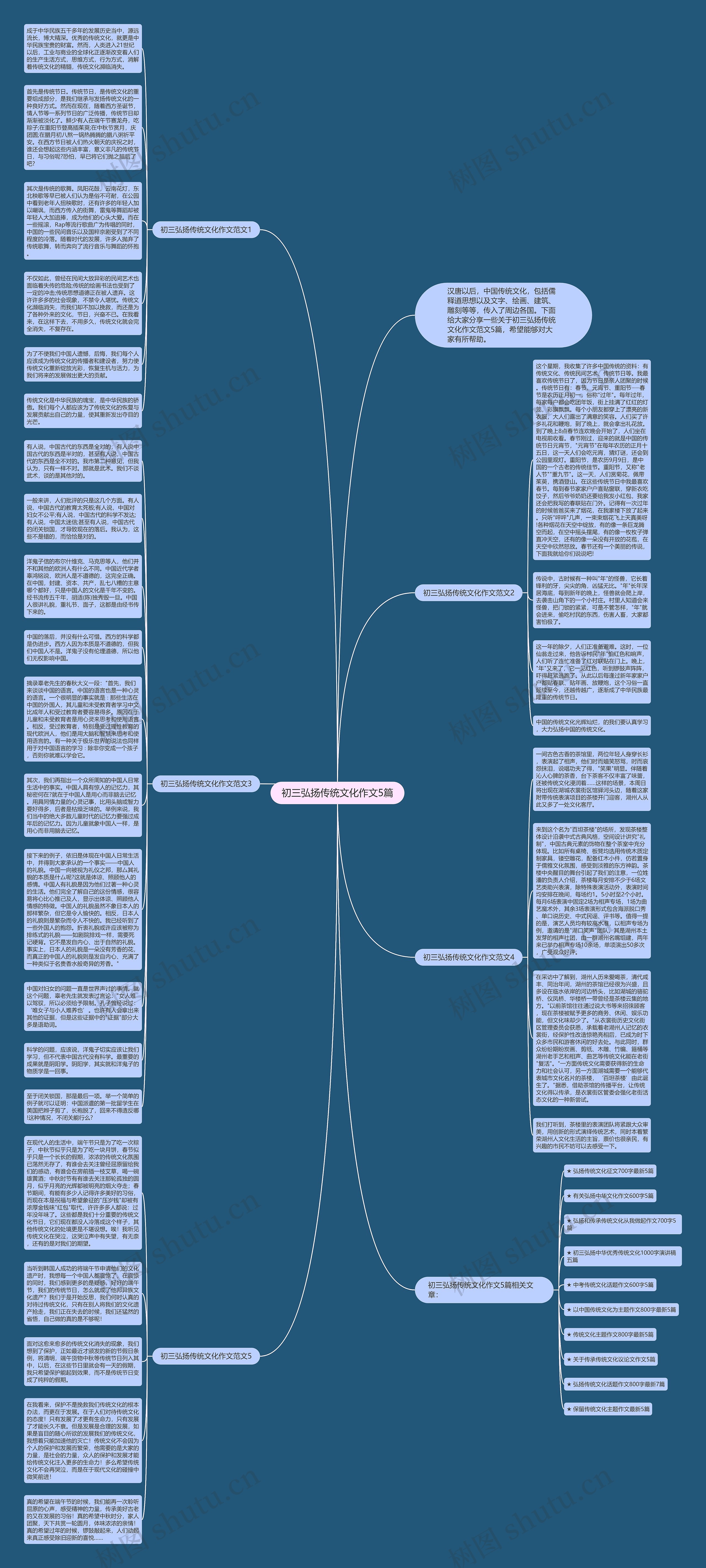 初三弘扬传统文化作文5篇思维导图