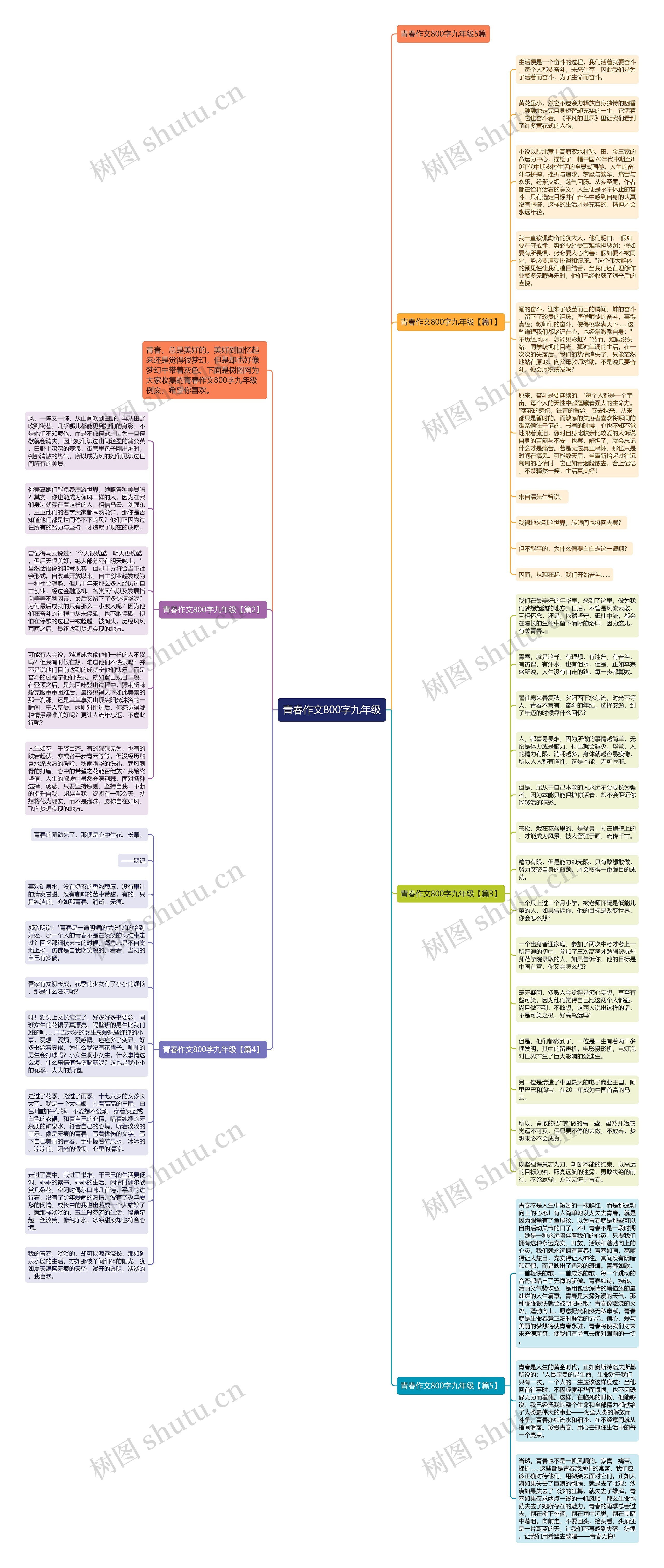 青春作文800字九年级思维导图