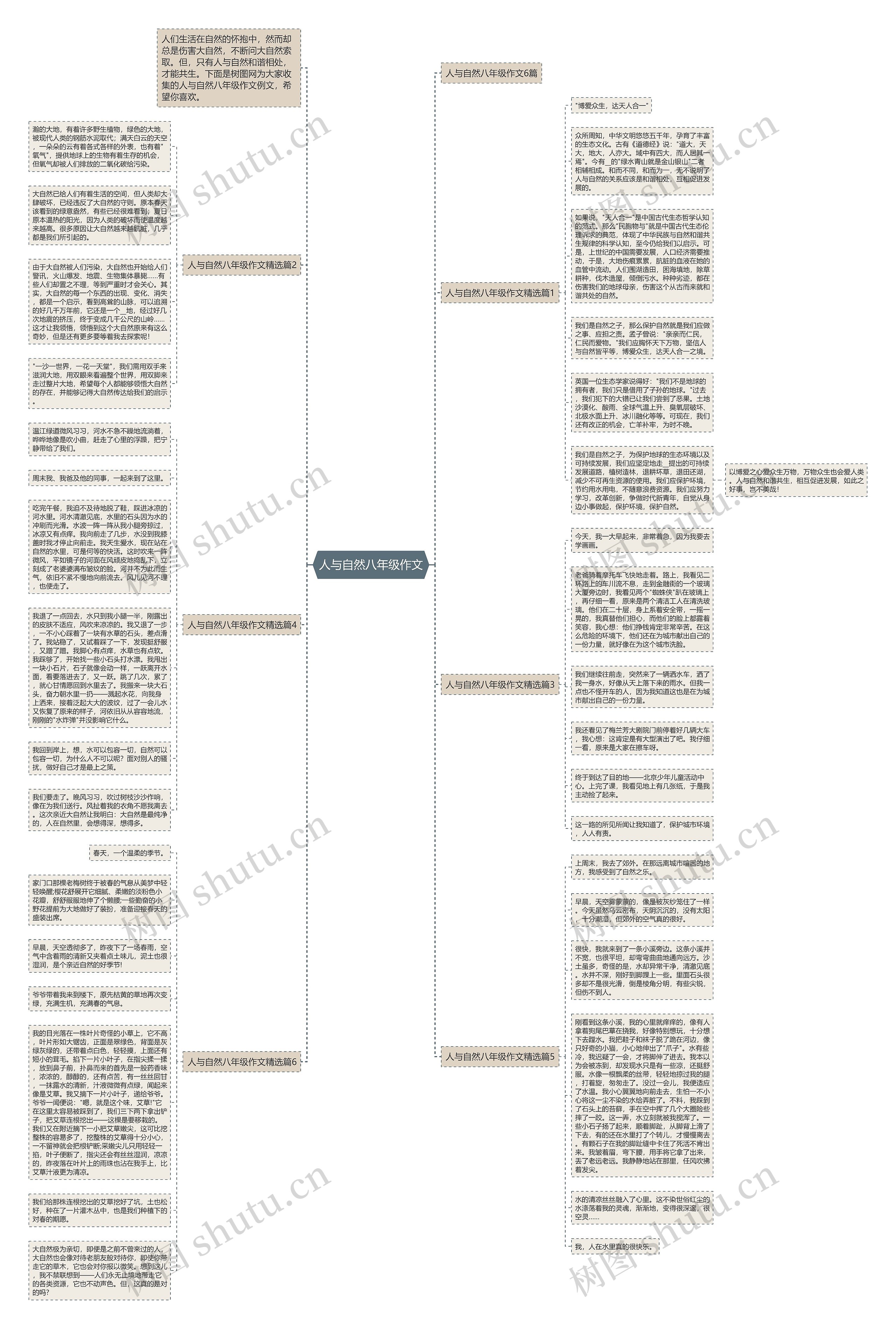 人与自然八年级作文思维导图