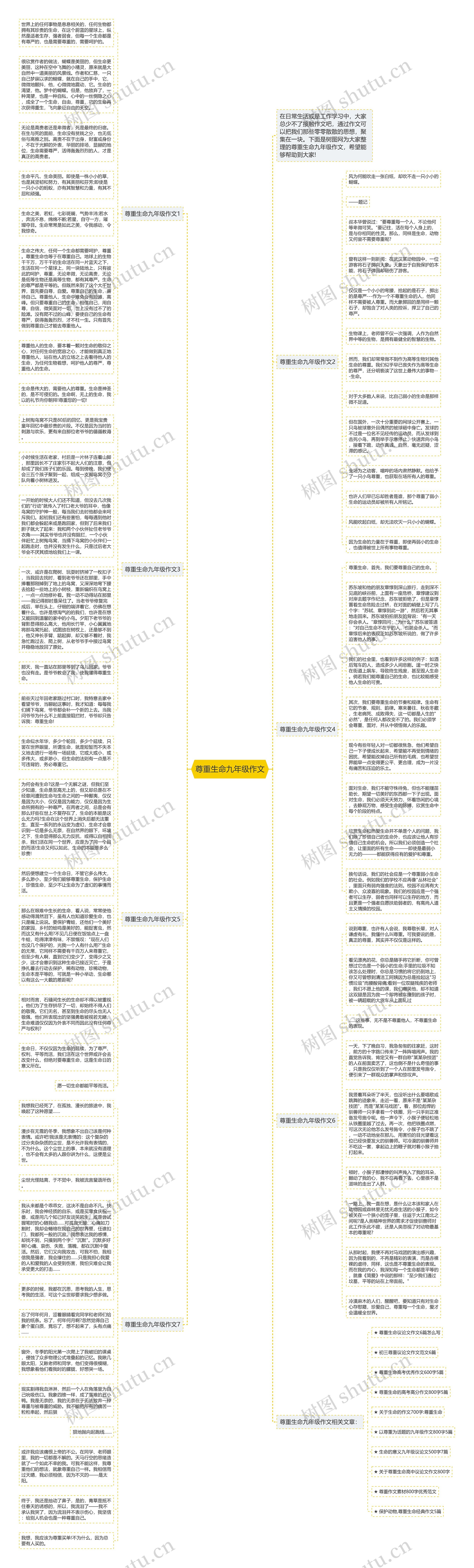 尊重生命九年级作文思维导图