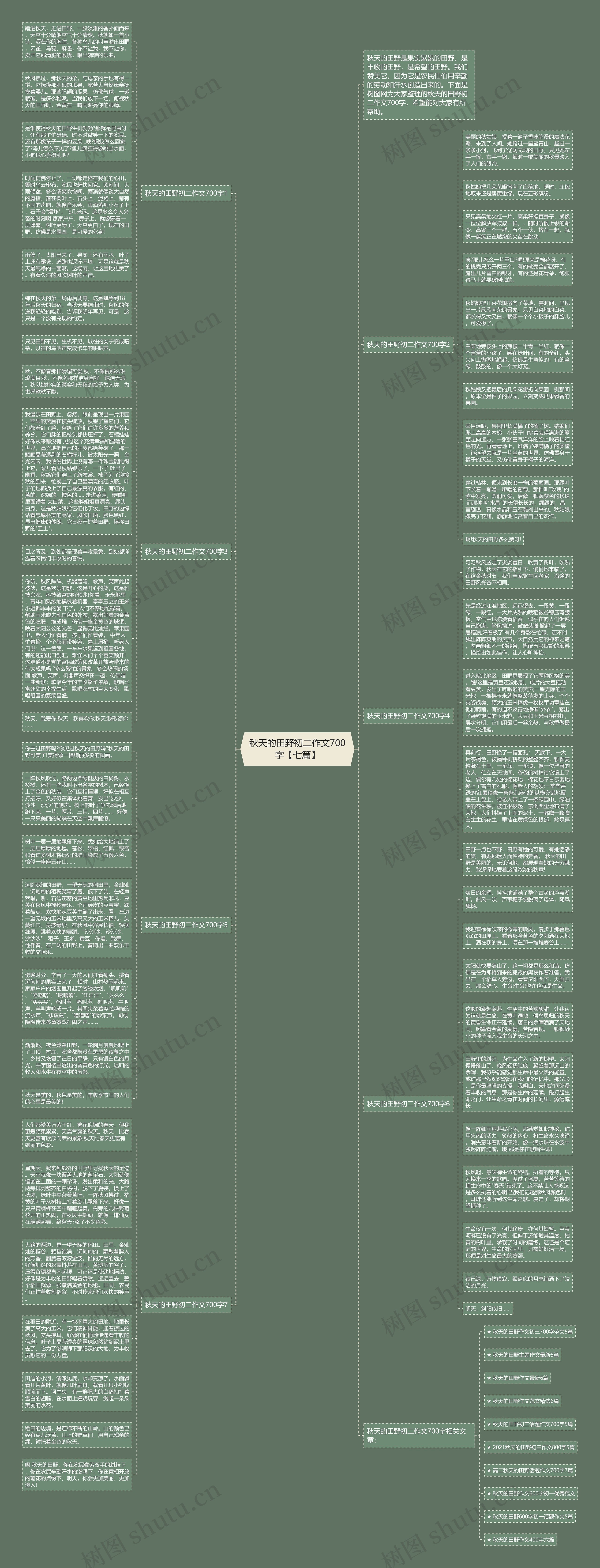 秋天的田野初二作文700字【七篇】思维导图