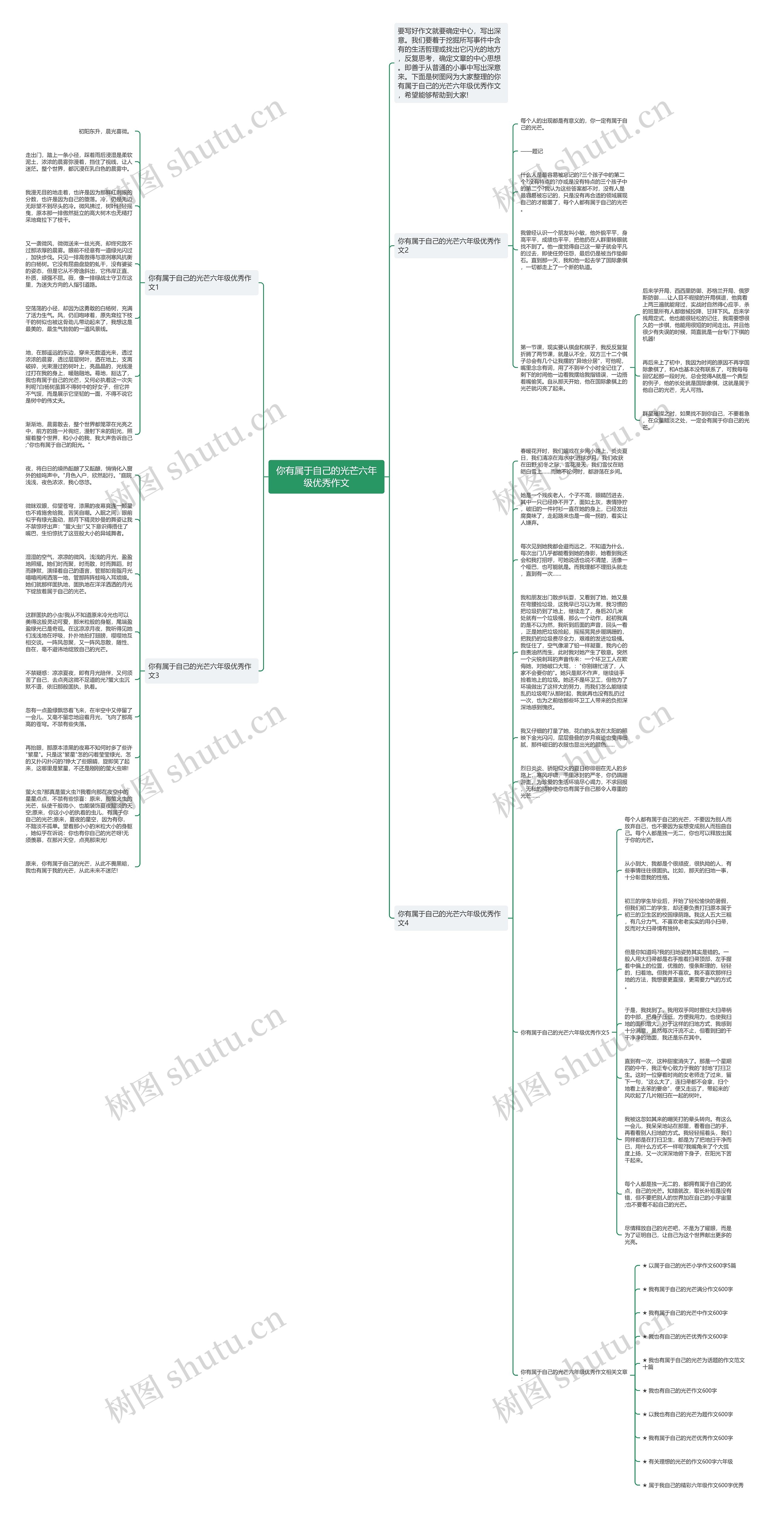 你有属于自己的光芒六年级优秀作文思维导图