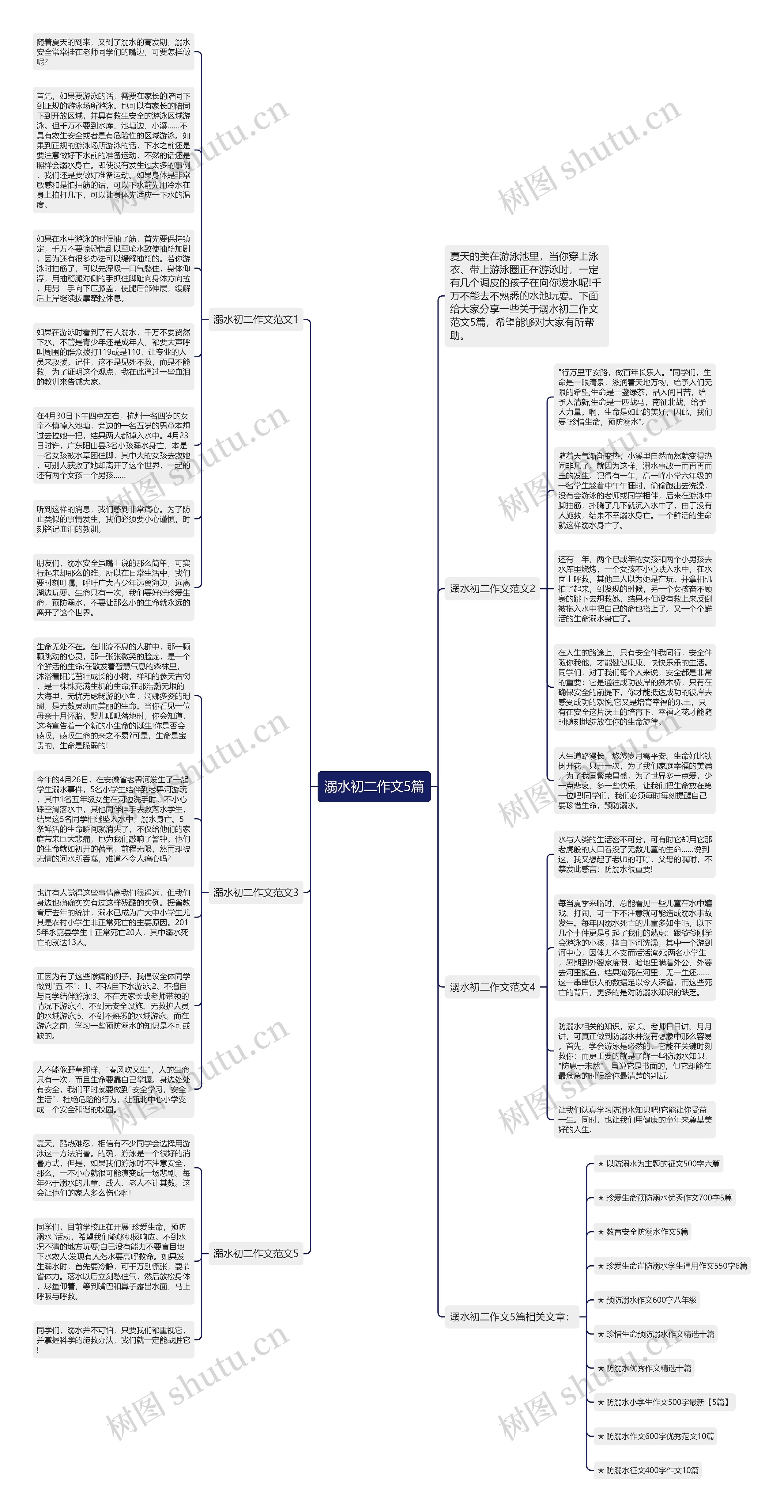 溺水初二作文5篇思维导图